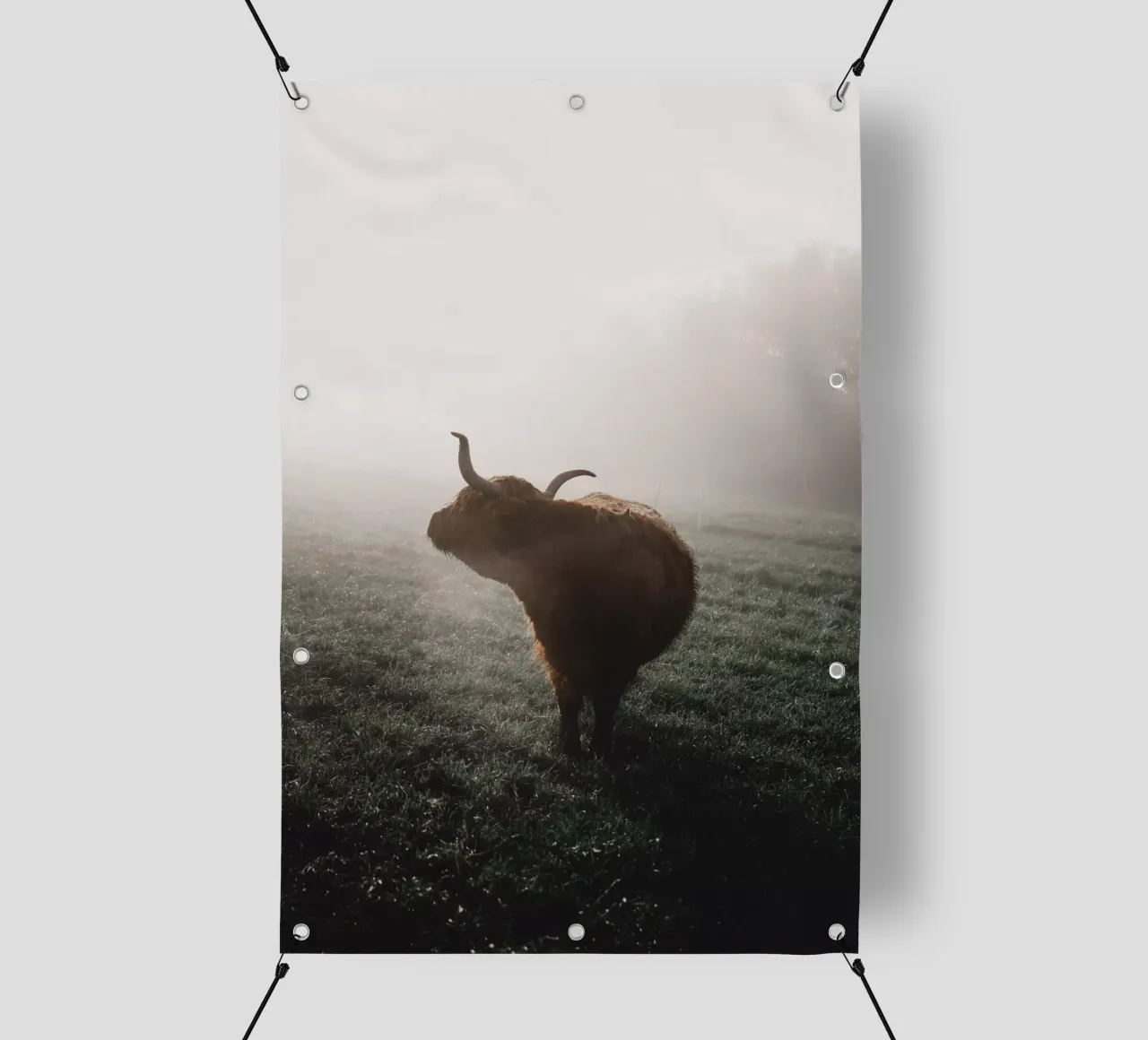 Mystisch, Crudelia, bovini delle Highland 🐮 telo in pvc da Sibbershusum