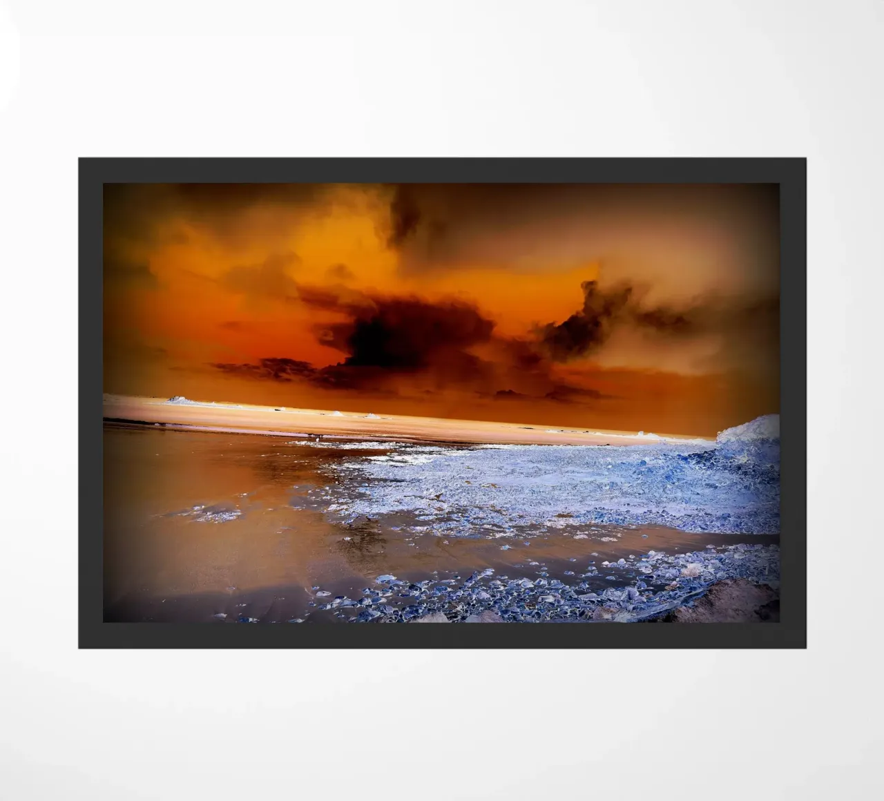 FAA46 zerbino da Thierry vobmann photography