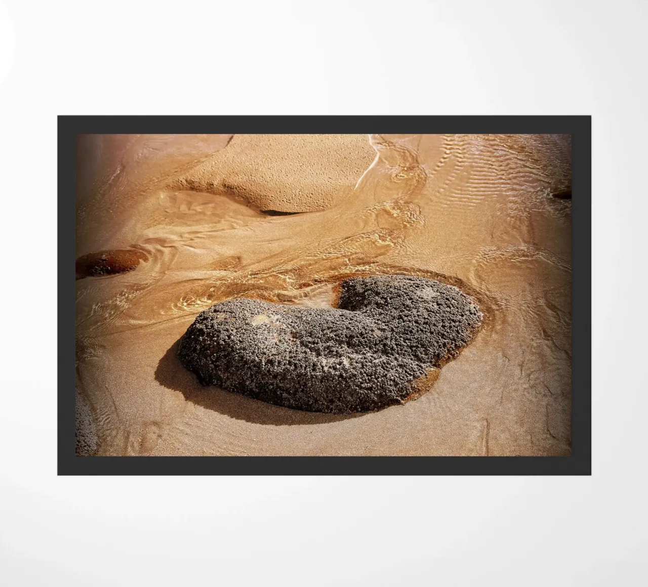 FAA49 zerbino da Thierry vobmann photography