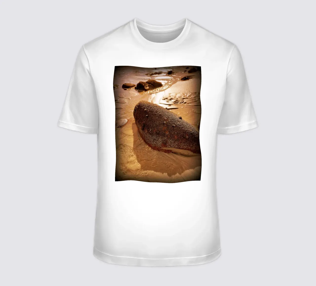 FAA50 t-shirt da Thierry vobmann photography
