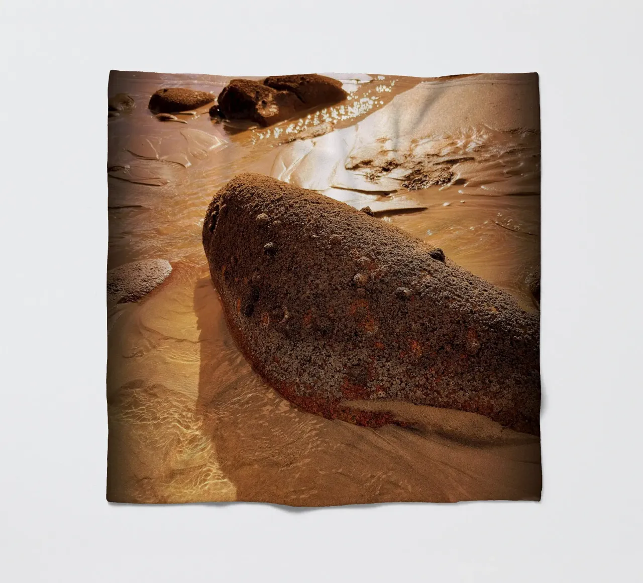 FAA50 coperta in pile da Thierry vobmann photography