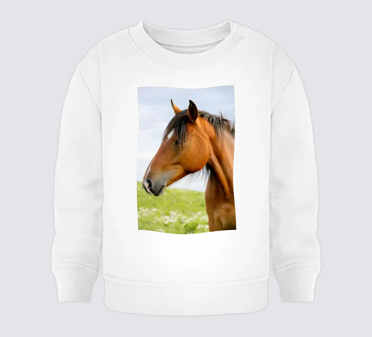 Cavallo marrone felpa neonato da Alexey
