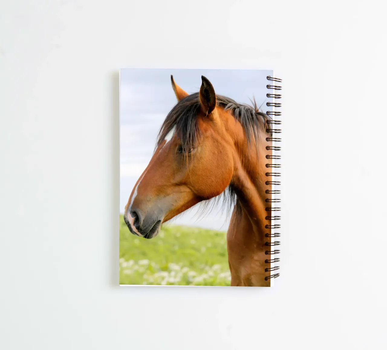 Cavallo marrone diario ad anelli da Alexey