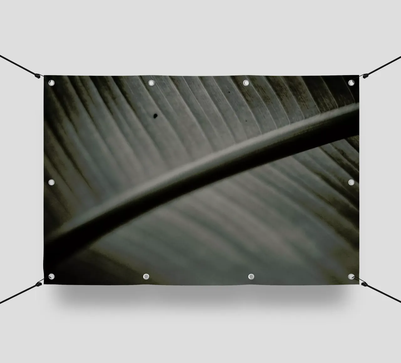 Botanical II - Banana Leaf telo in pvc da Anja Hebrank Photography