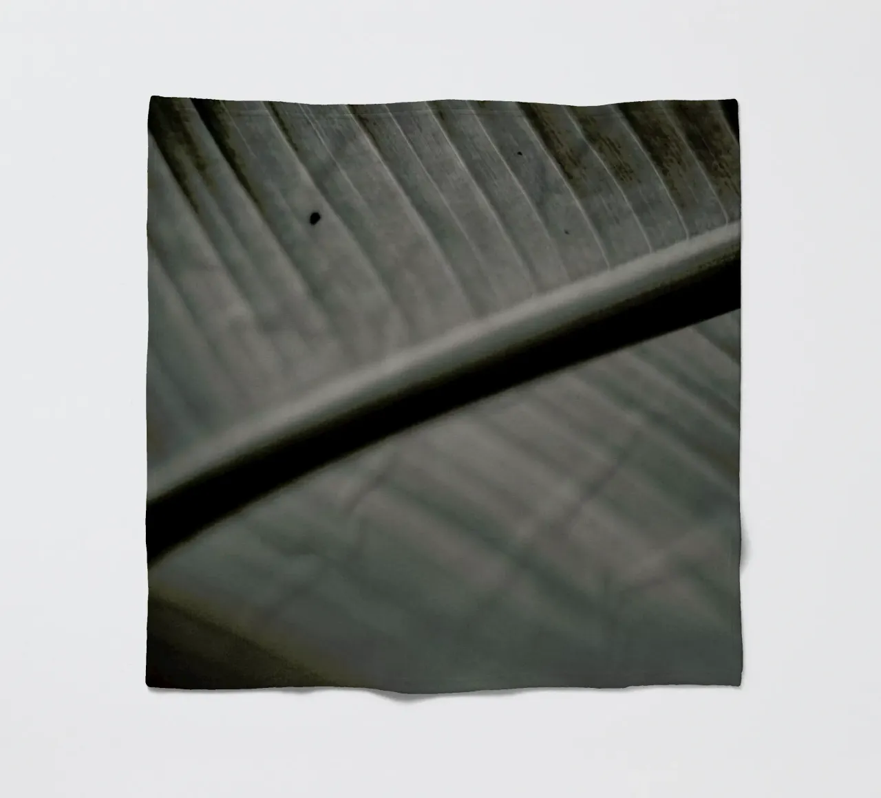 Botanical II - Banana Leaf coperta in pile da Anja Hebrank Photography