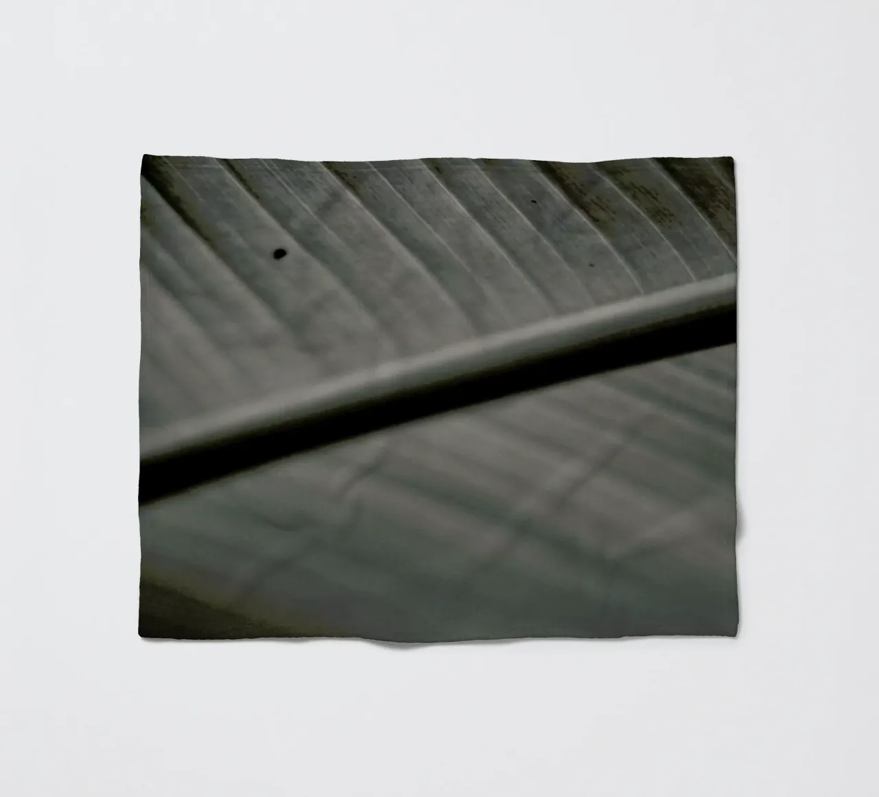 Botanical II - Banana Leaf coperta in pile da Anja Hebrank Photography