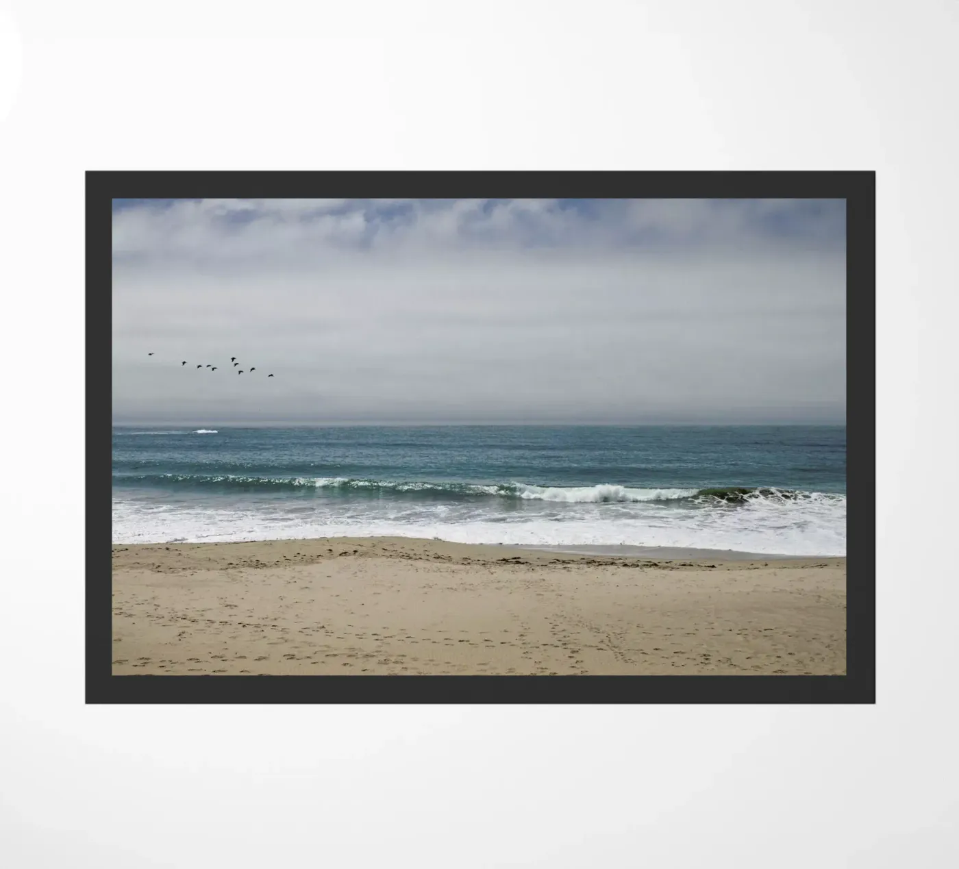 PC5 zerbino da Marc Gruninger