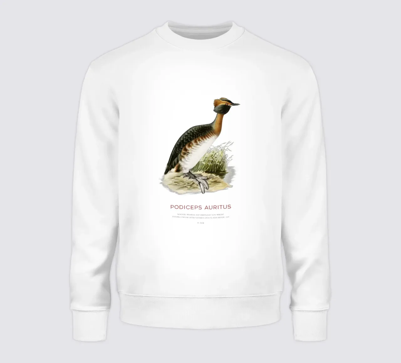 Svasso cornuto o Podiceps auritus felpa da Vintagrafica