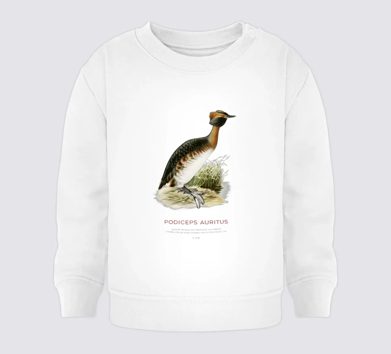 Svasso cornuto o Podiceps auritus felpa neonato da Vintagrafica