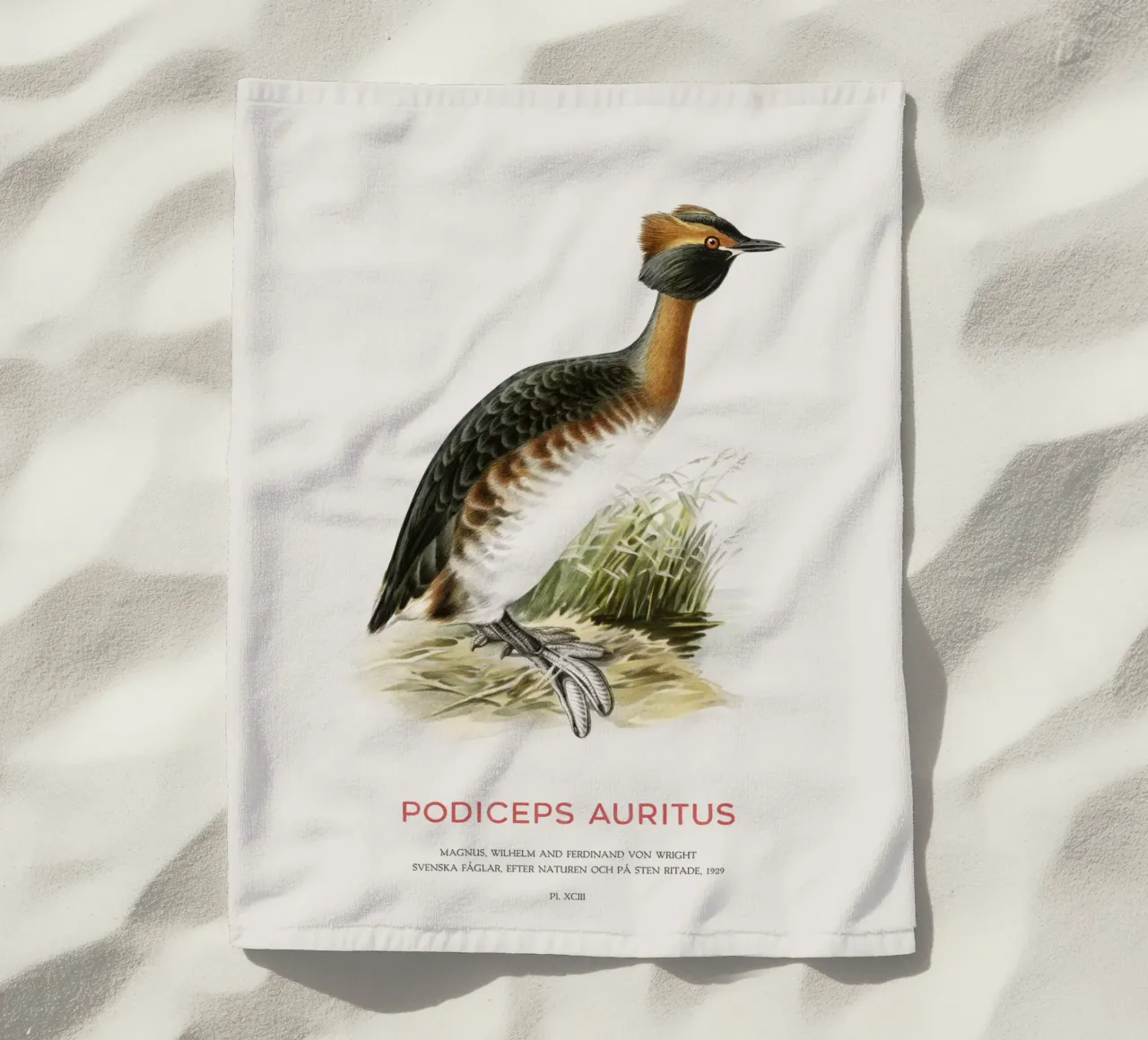 Horned grebe or Podiceps auritus beach towel by Vintagrafica