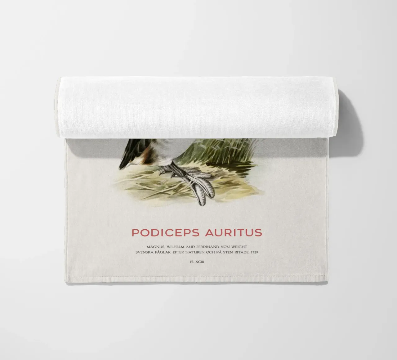 Horned grebe or Podiceps auritus beach towel by Vintagrafica