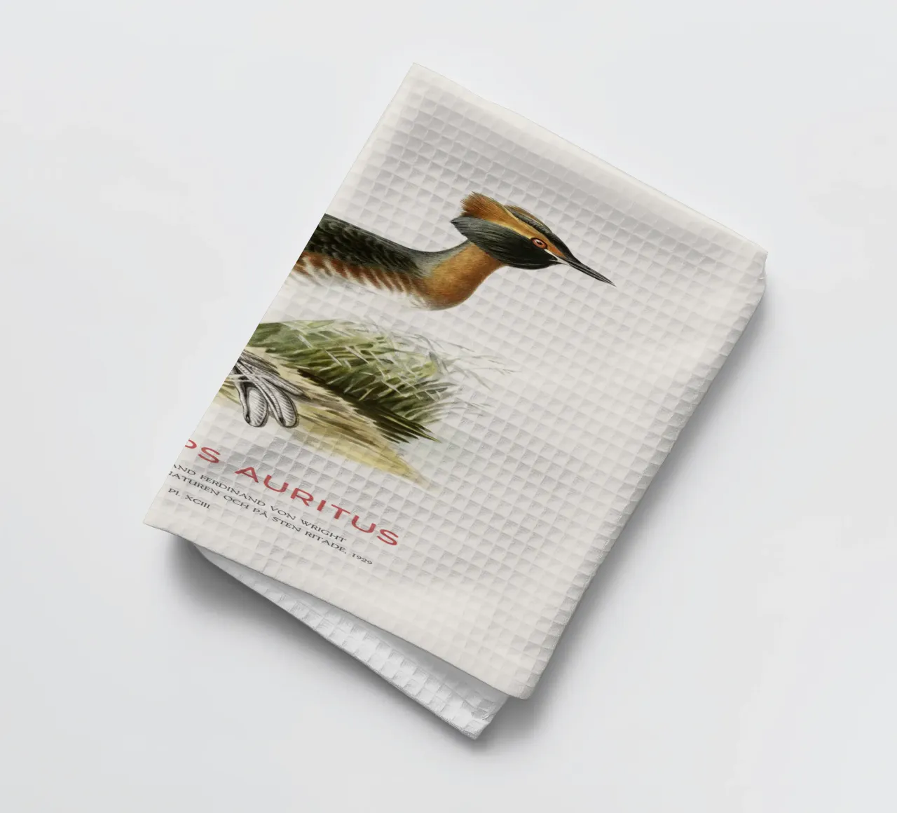 Svasso cornuto o Podiceps auritus canovaccio da cucina da Vintagrafica
