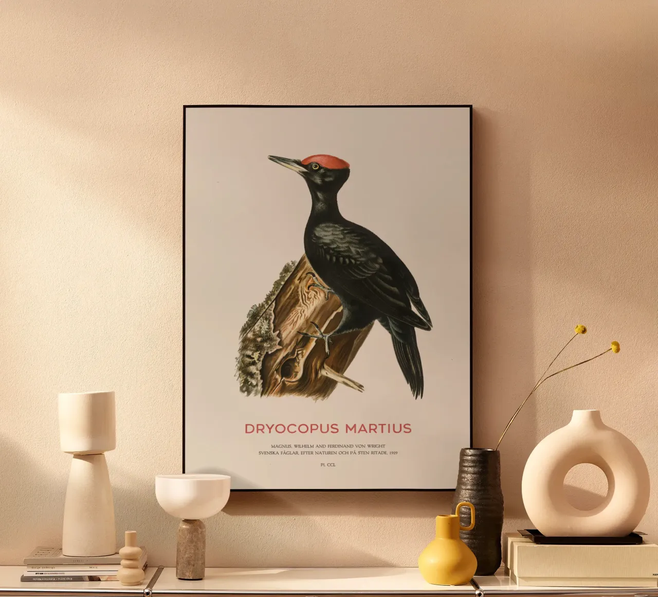 Black woodpecker or Dryocopus martius acrylic glass by Vintagrafica