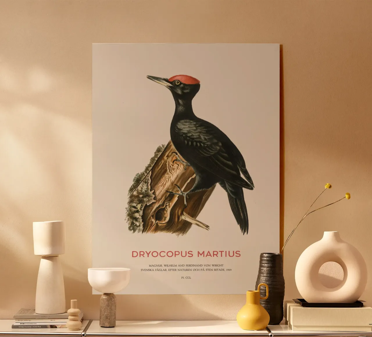 Black woodpecker or Dryocopus martius acrylic glass by Vintagrafica