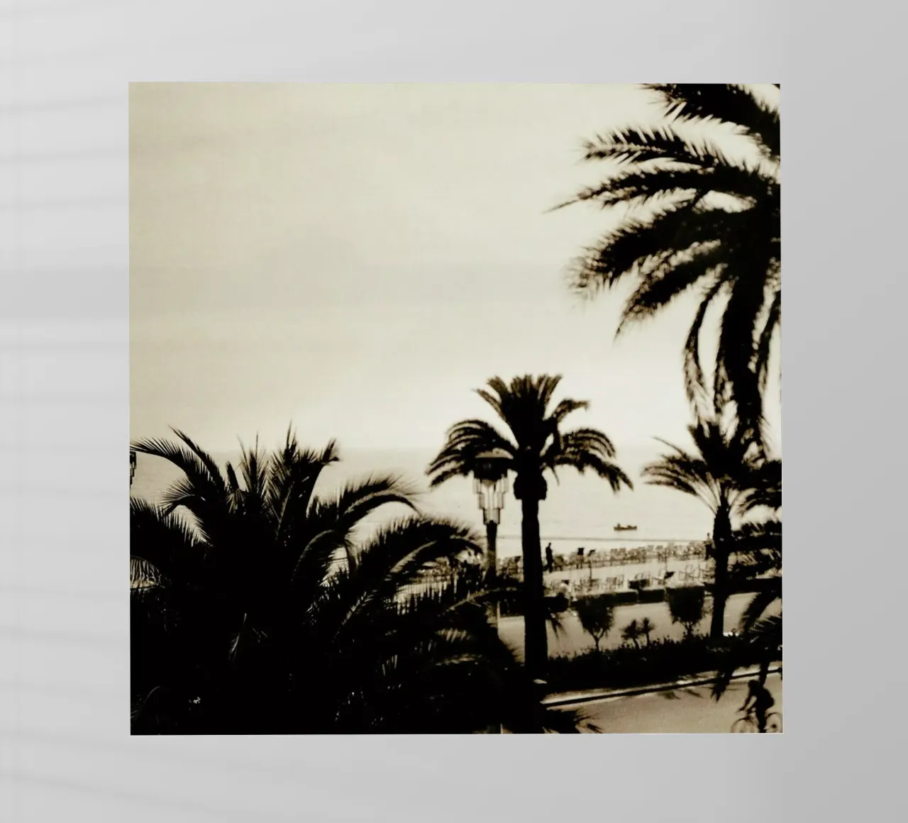 Glorious Days pellicola backlit da Sophie Etchart