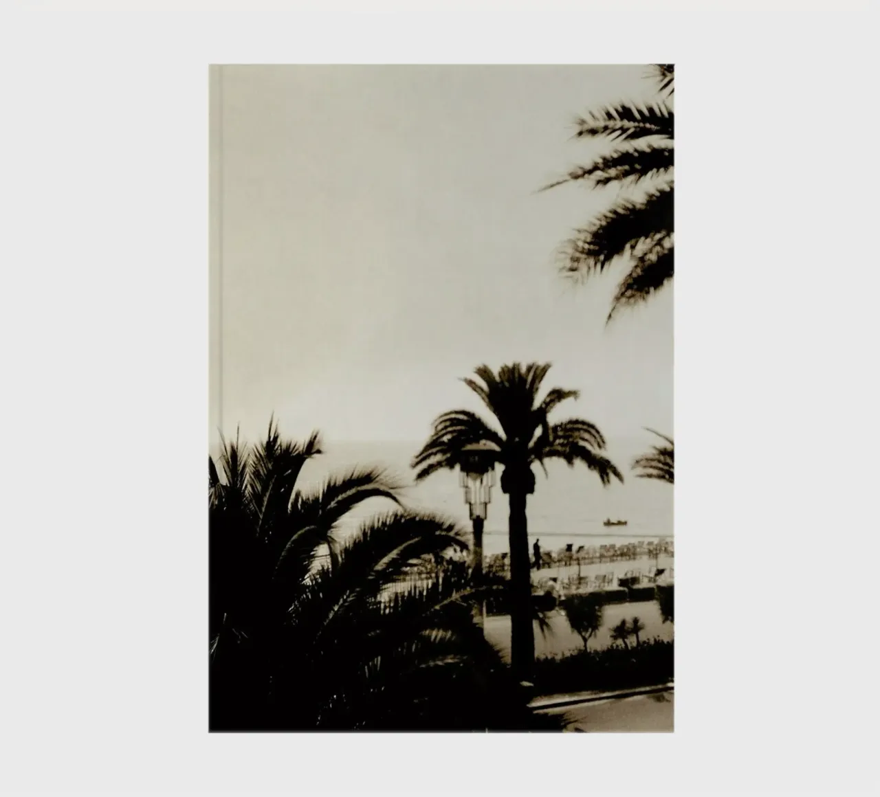 Glorious Days diario da Sophie Etchart