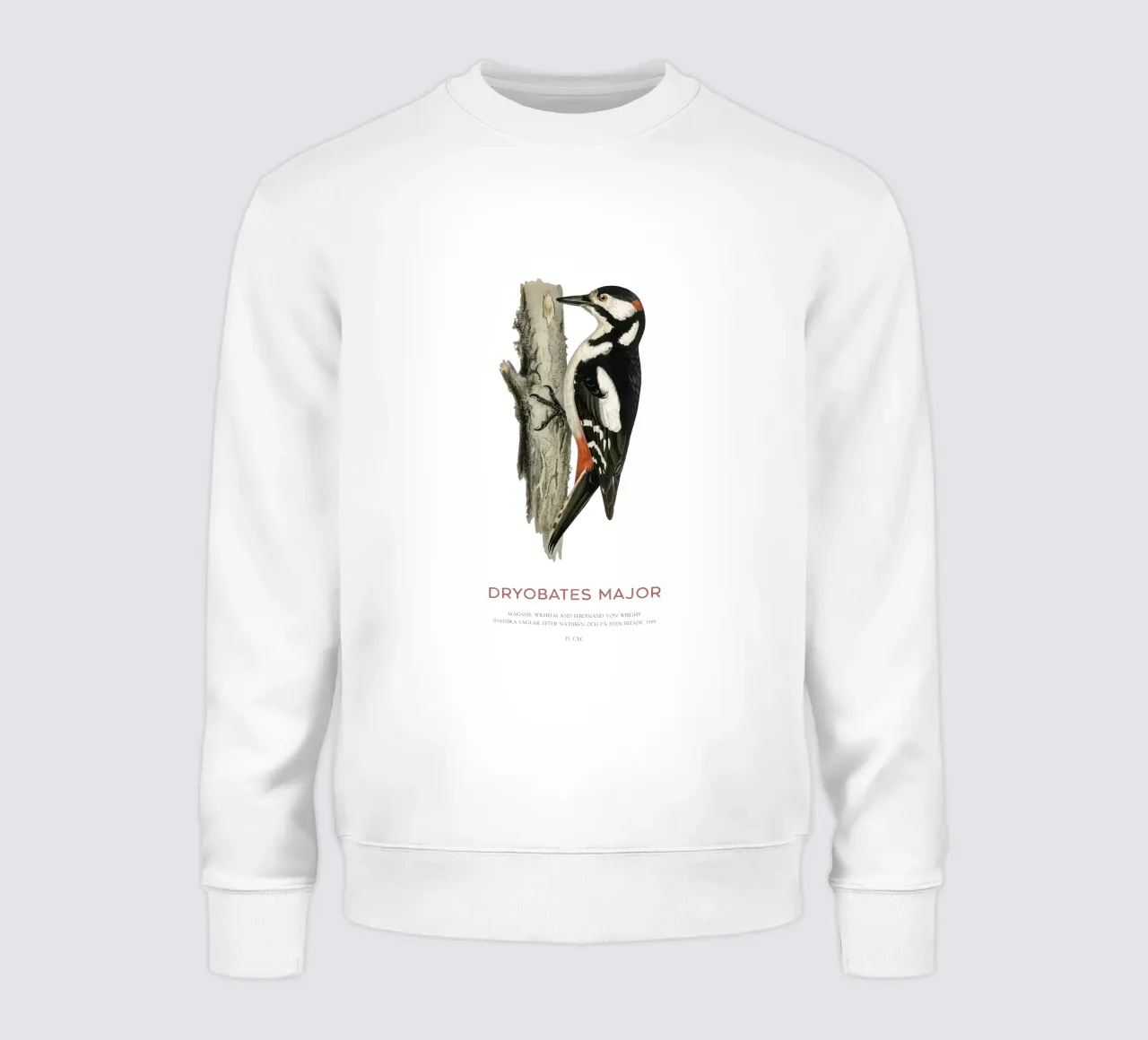 Pico picapinos o Dryobates major sudadera de Vintagrafica
