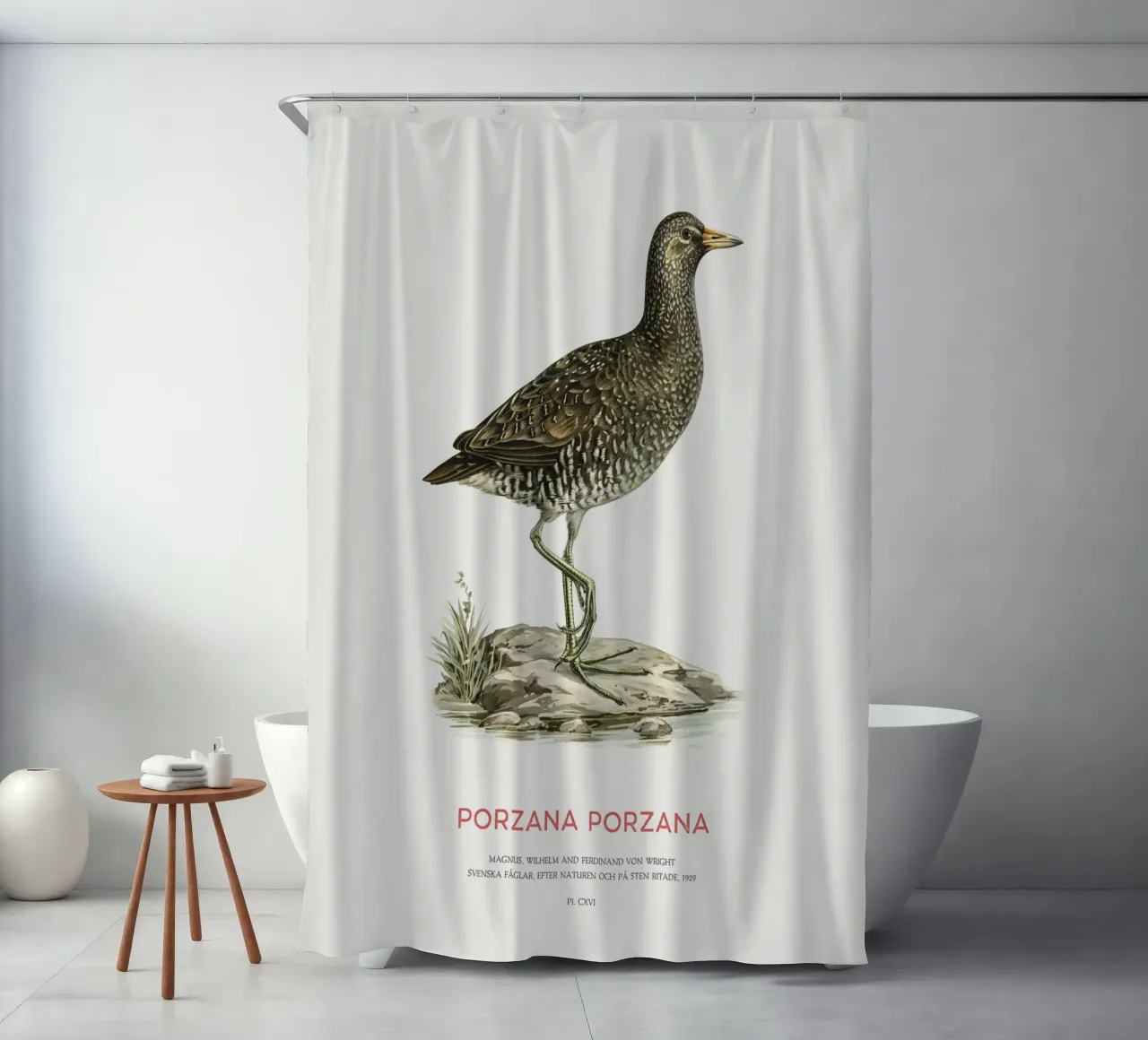 Tüpfelsumpfhuhn oder Porzana porzana Duschvorhang von Vintagrafica