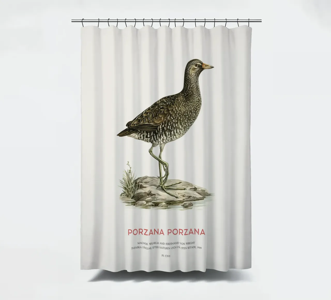 Tüpfelsumpfhuhn oder Porzana porzana Duschvorhang von Vintagrafica