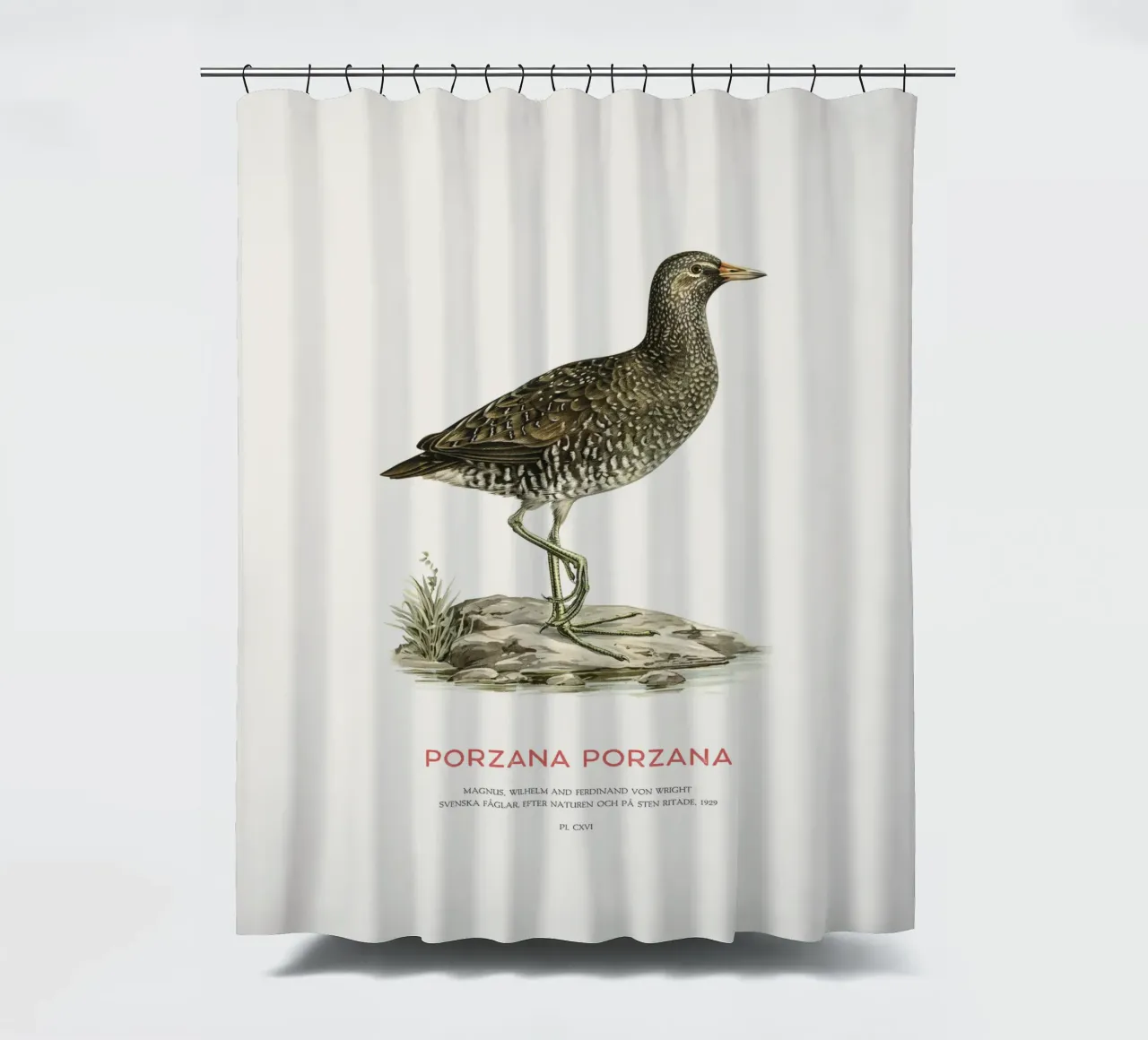 Tüpfelsumpfhuhn oder Porzana porzana Duschvorhang von Vintagrafica