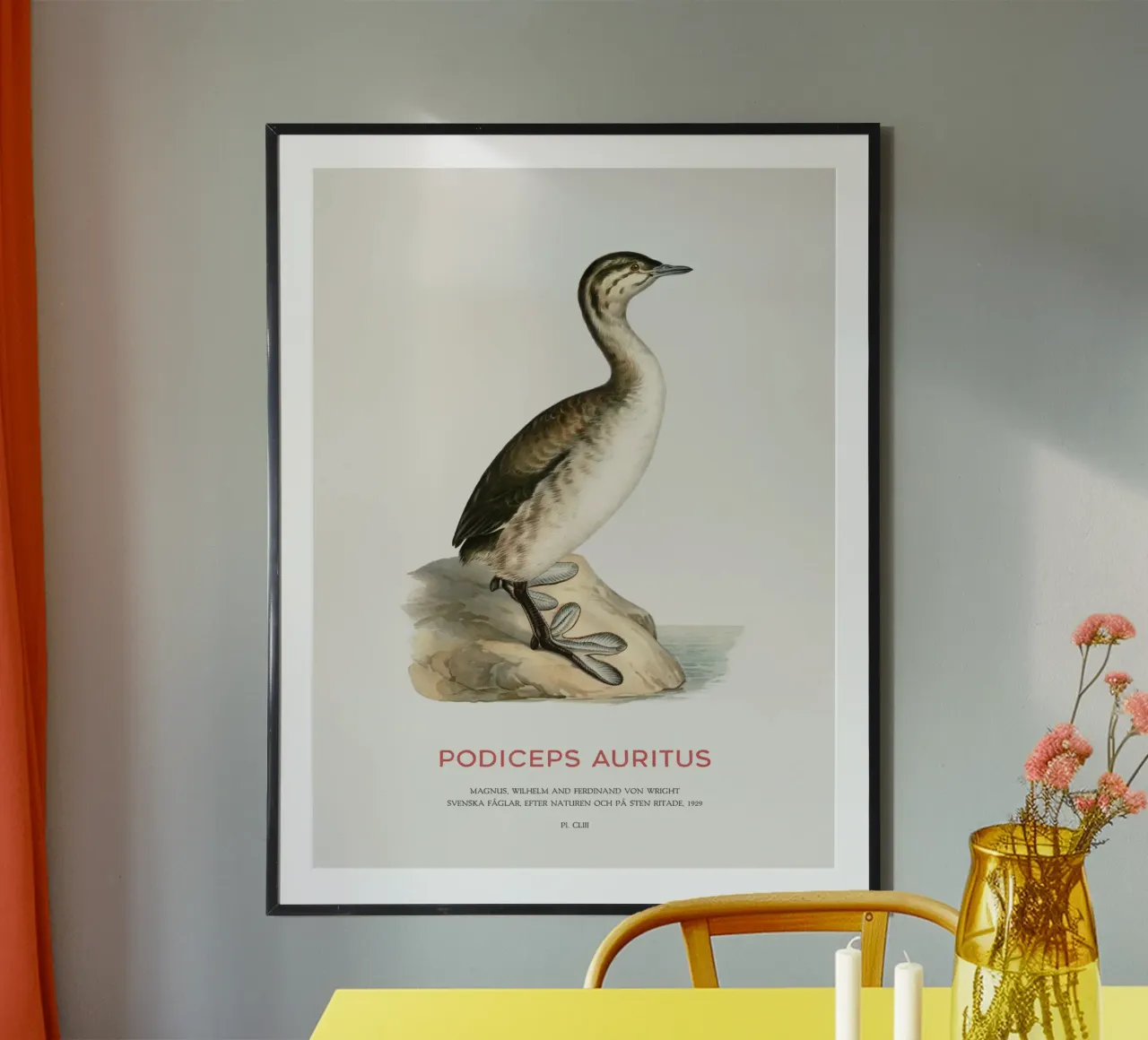 Svasso cornuto o Podiceps auritus poster da Vintagrafica