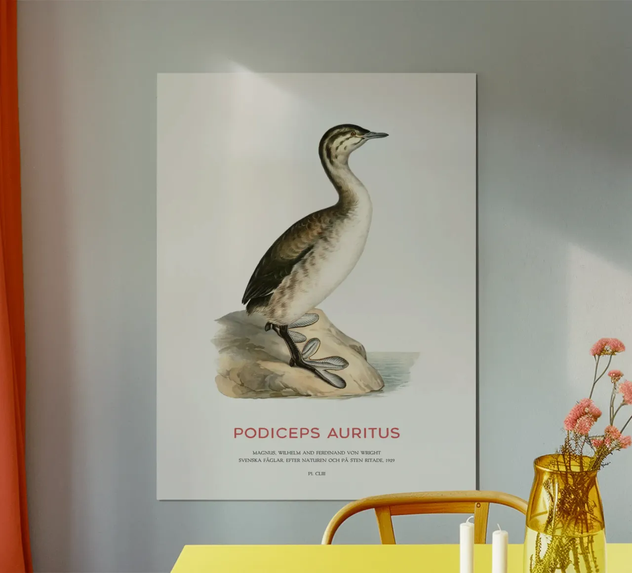 Svasso cornuto o Podiceps auritus poster da Vintagrafica