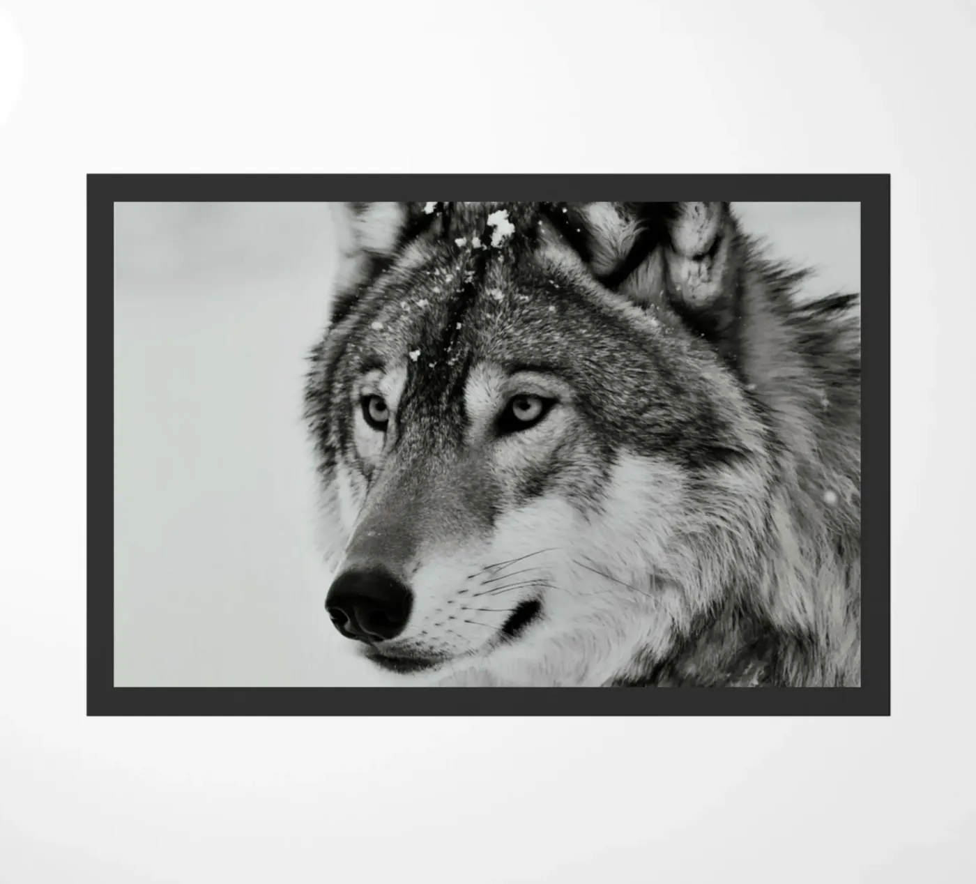 Wolf's BW doormat by PERSIE
