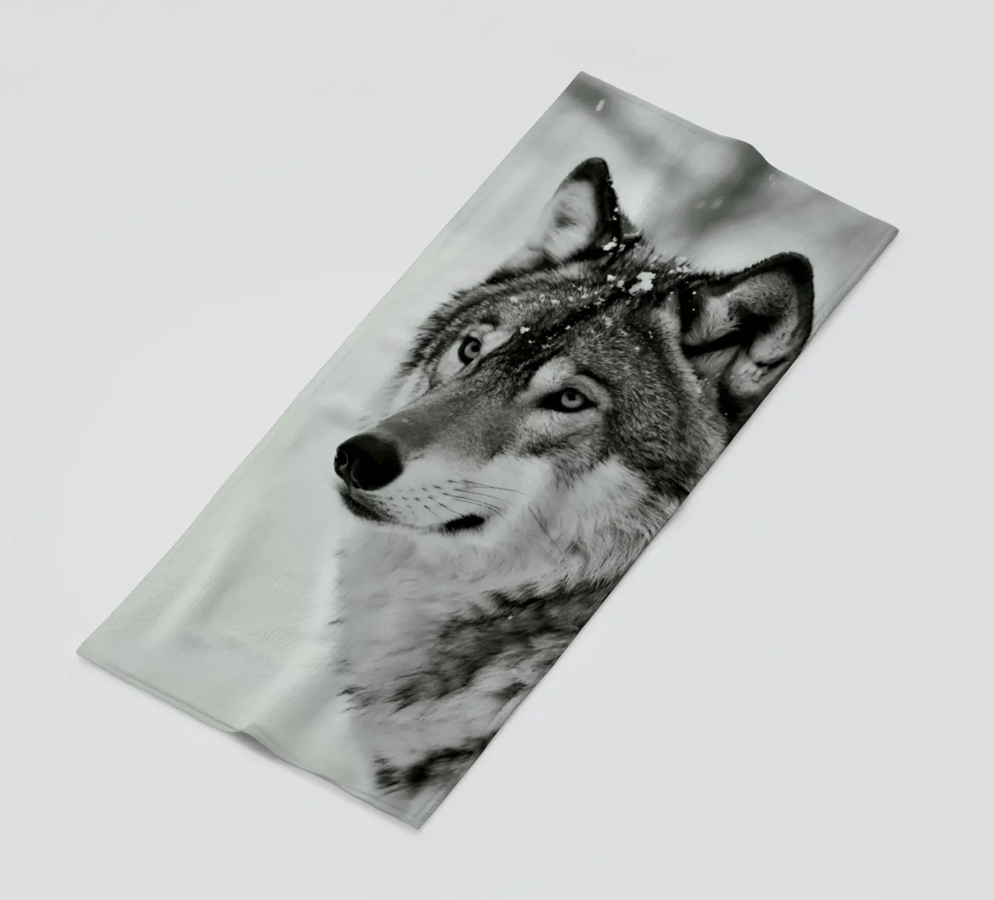 Wolf's BW telo mare da PERSIE