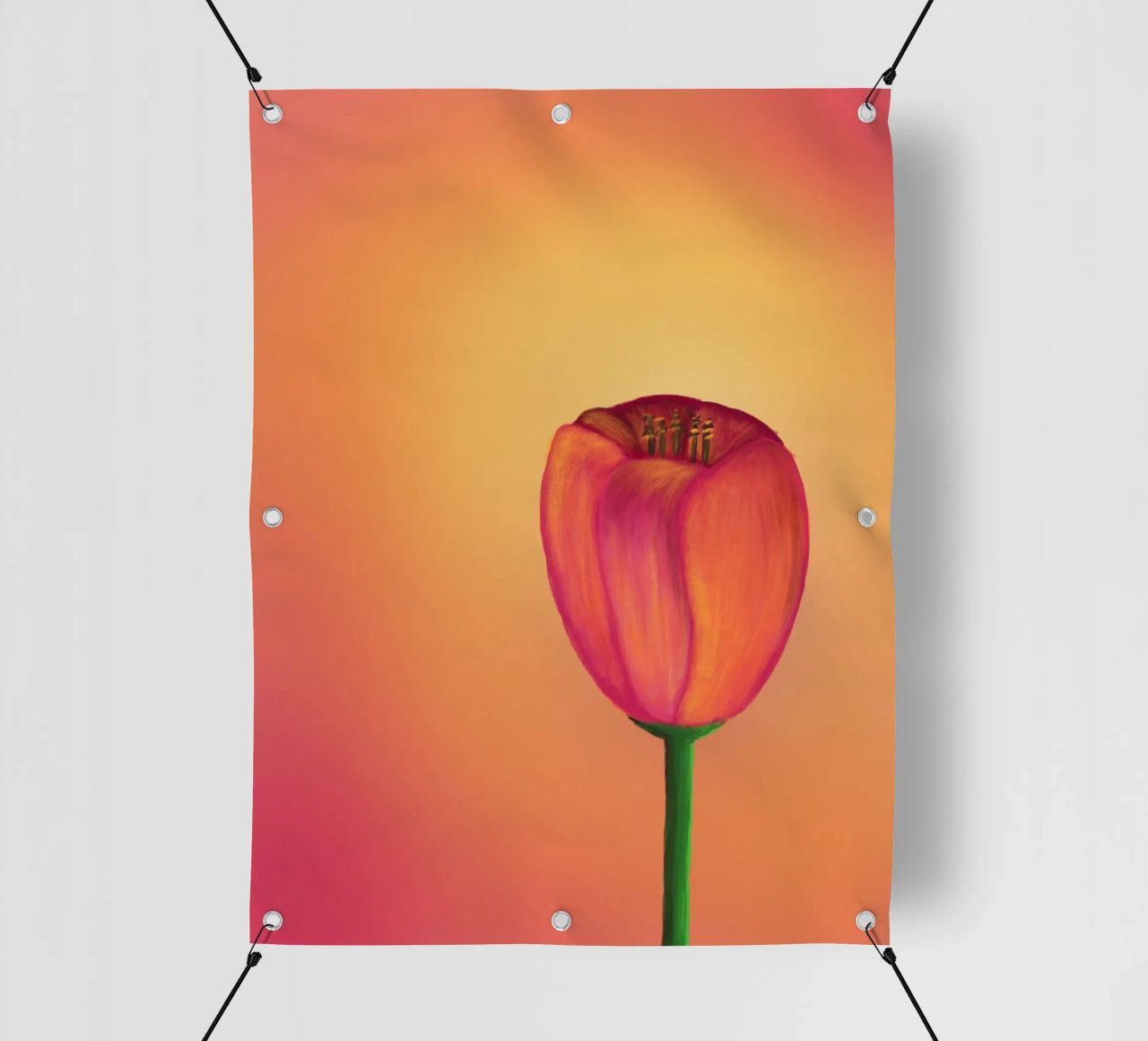 Tulip telo in pvc da bezirossi