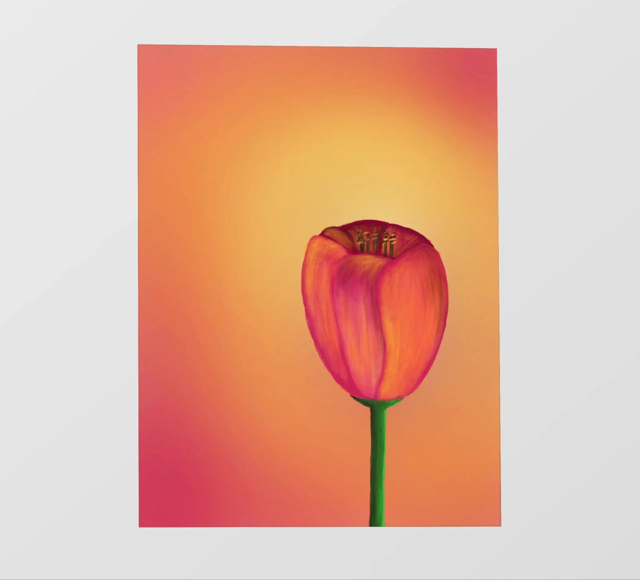 Tulip telo in pvc da bezirossi
