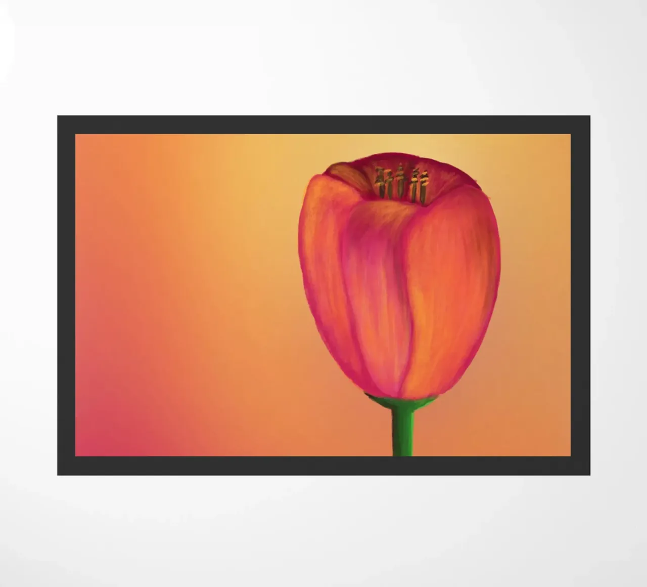 Tulip zerbino da bezirossi