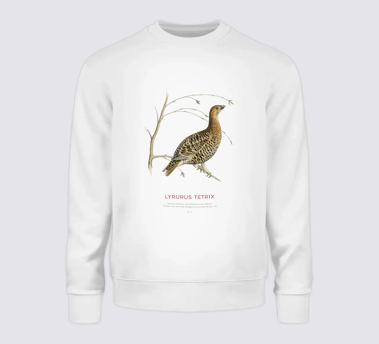 Birkhahn oder Lyrurus tetrix Sweatshirt von Vintagrafica