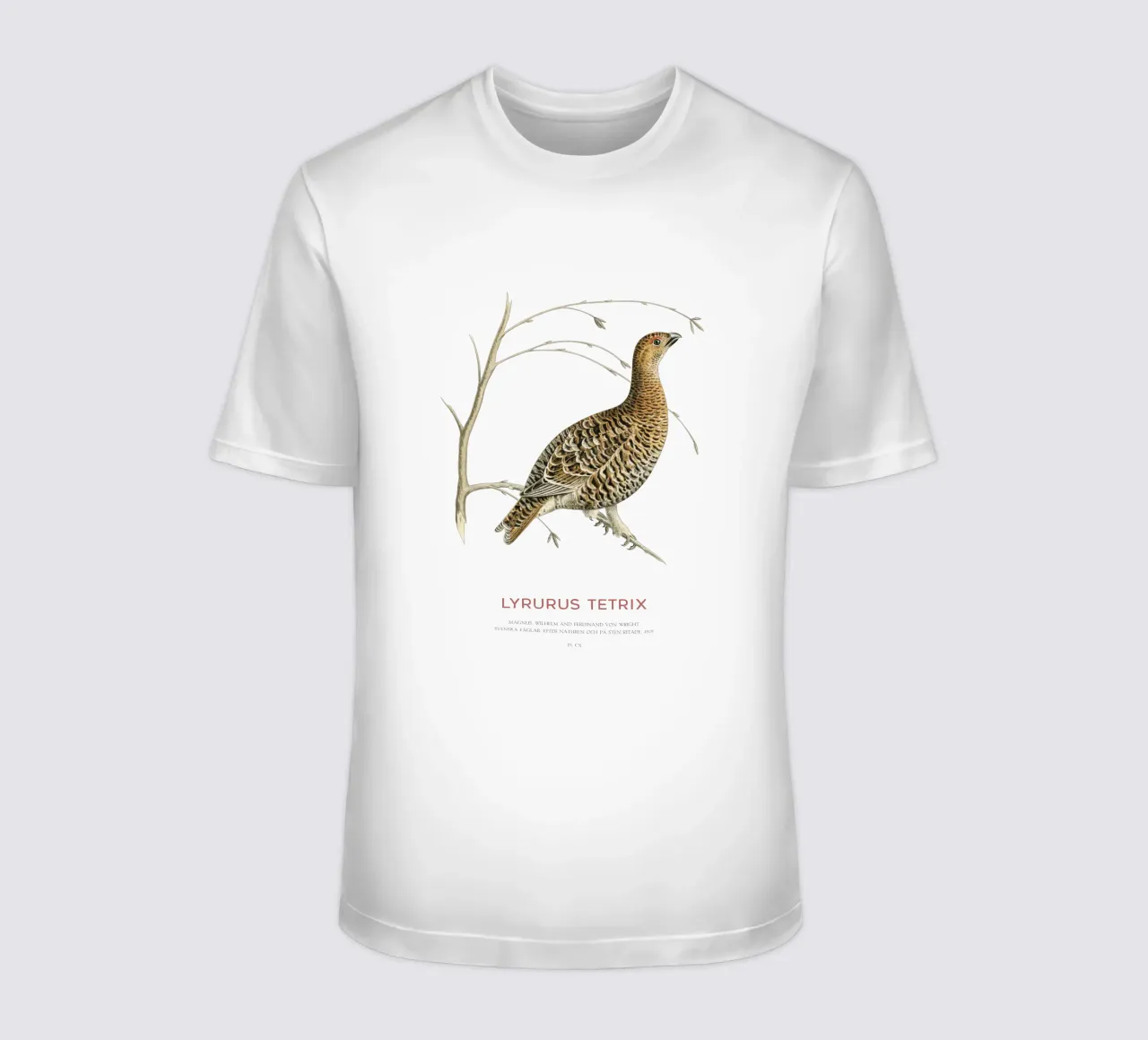Birkhahn oder Lyrurus tetrix T-Shirt von Vintagrafica