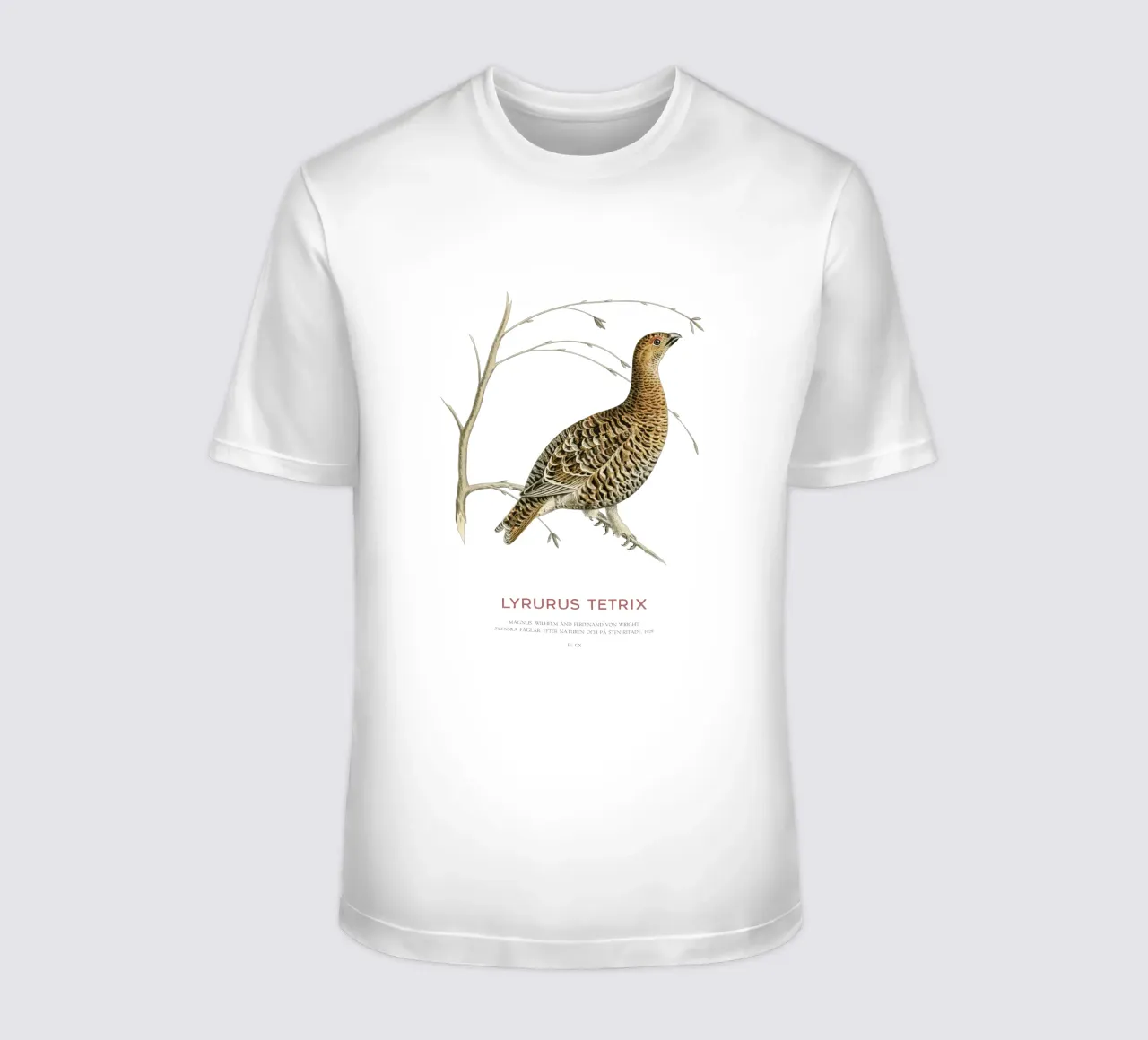 Birkhahn oder Lyrurus tetrix T-Shirt von Vintagrafica