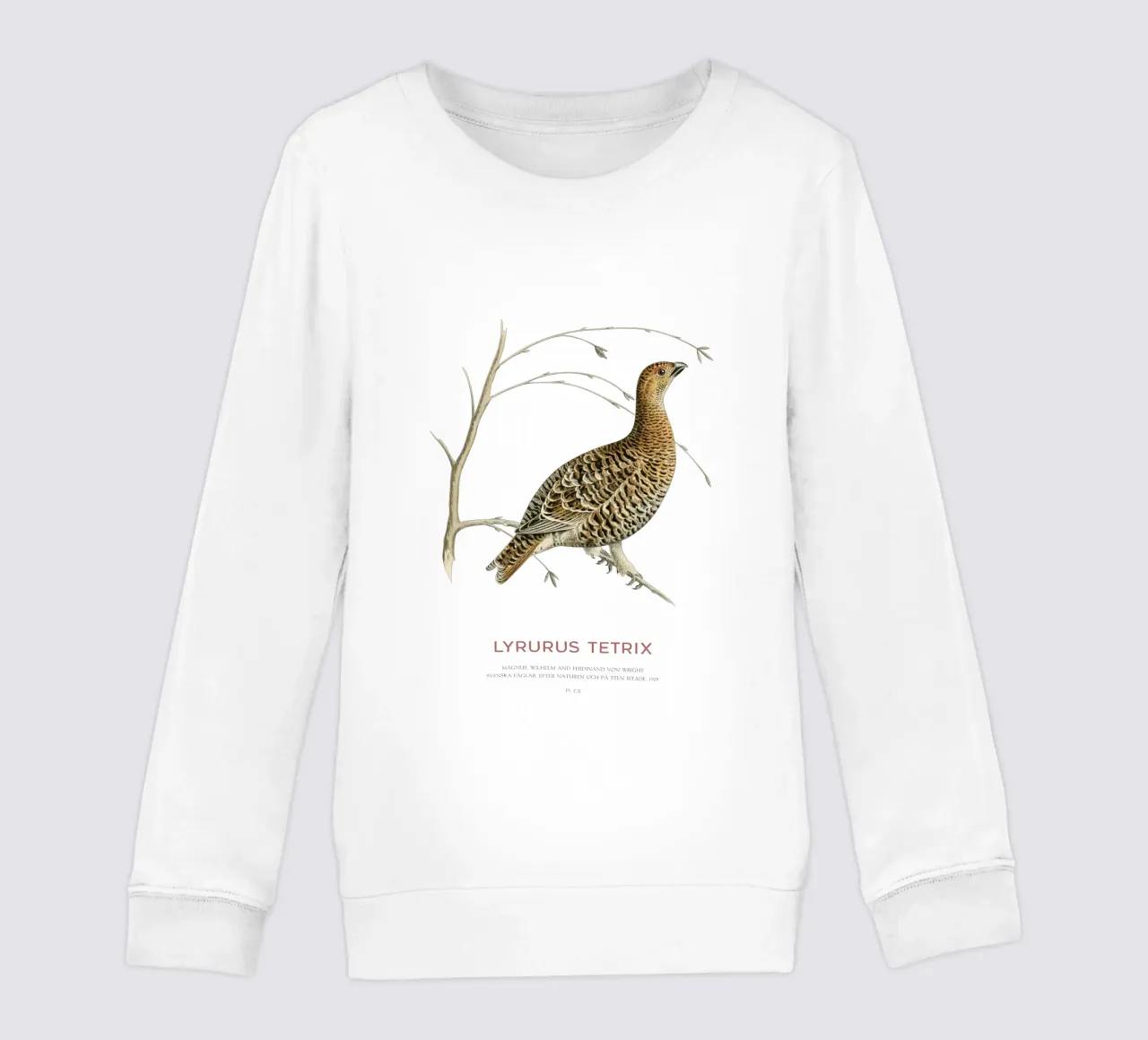 Birkhahn oder Lyrurus tetrix Kinder Sweatshirt von Vintagrafica