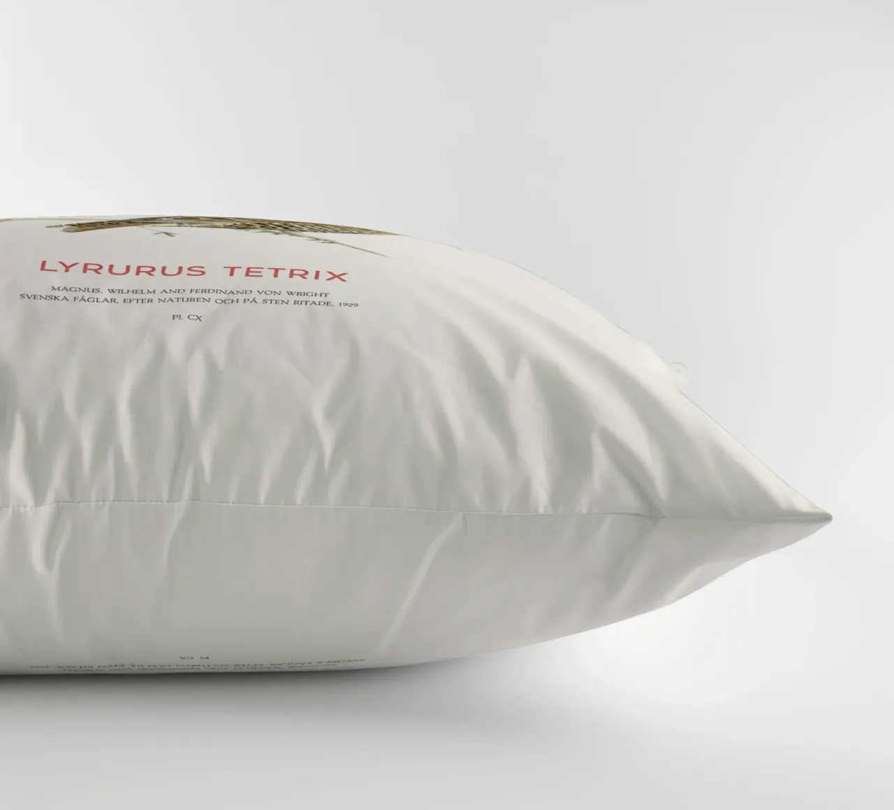 Fagiano di monte o Lyrurus tetrix cuscino da Vintagrafica