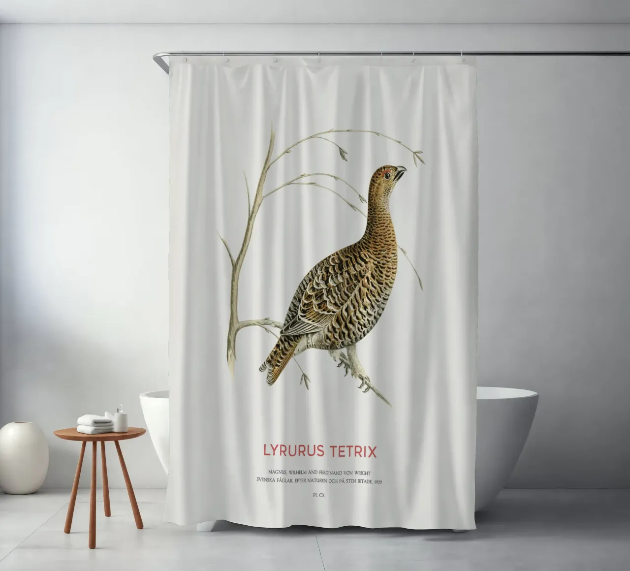 Birkhahn oder Lyrurus tetrix Duschvorhang von Vintagrafica