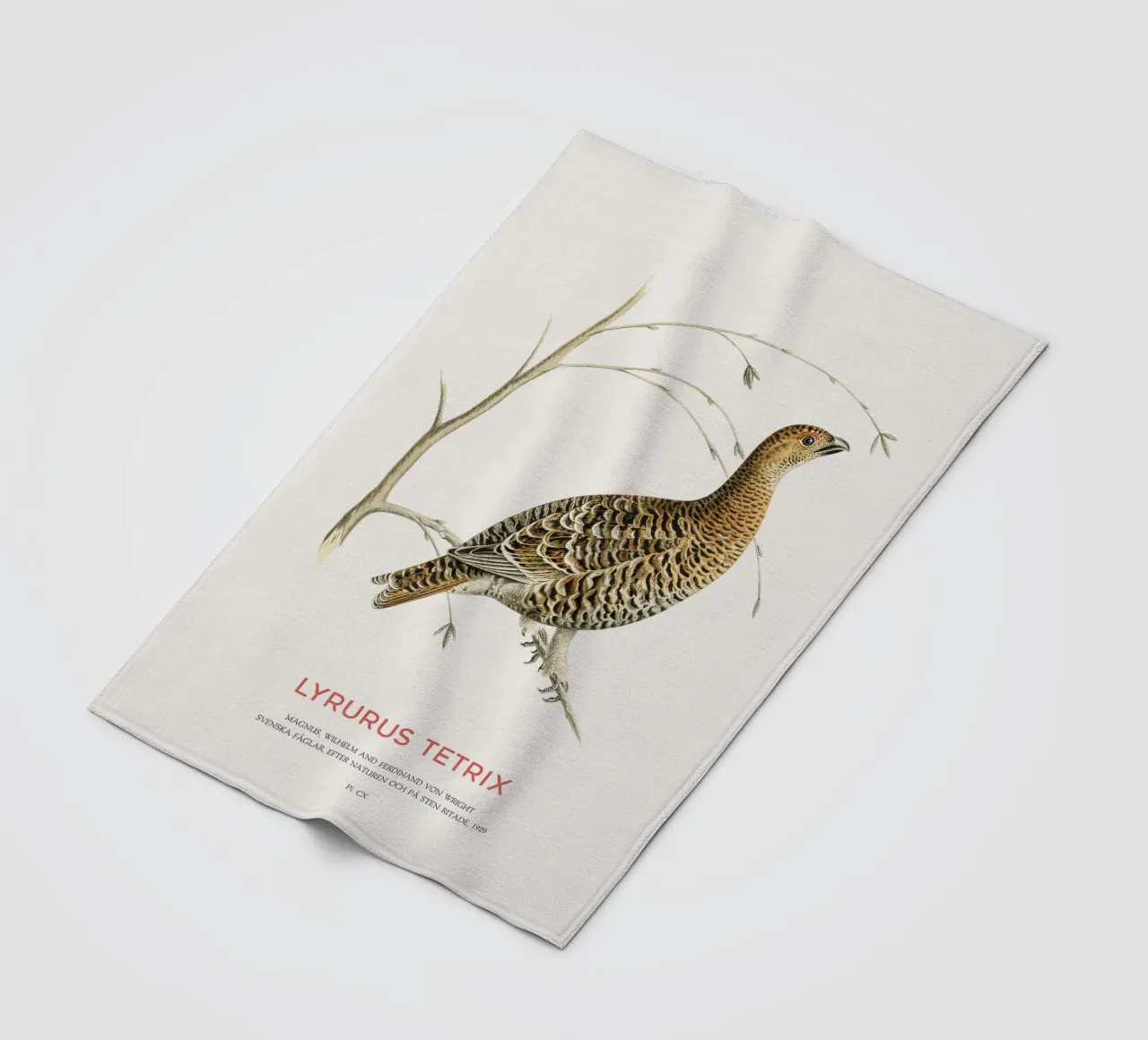 Birkhahn oder Lyrurus tetrix Fleecedecke von Vintagrafica