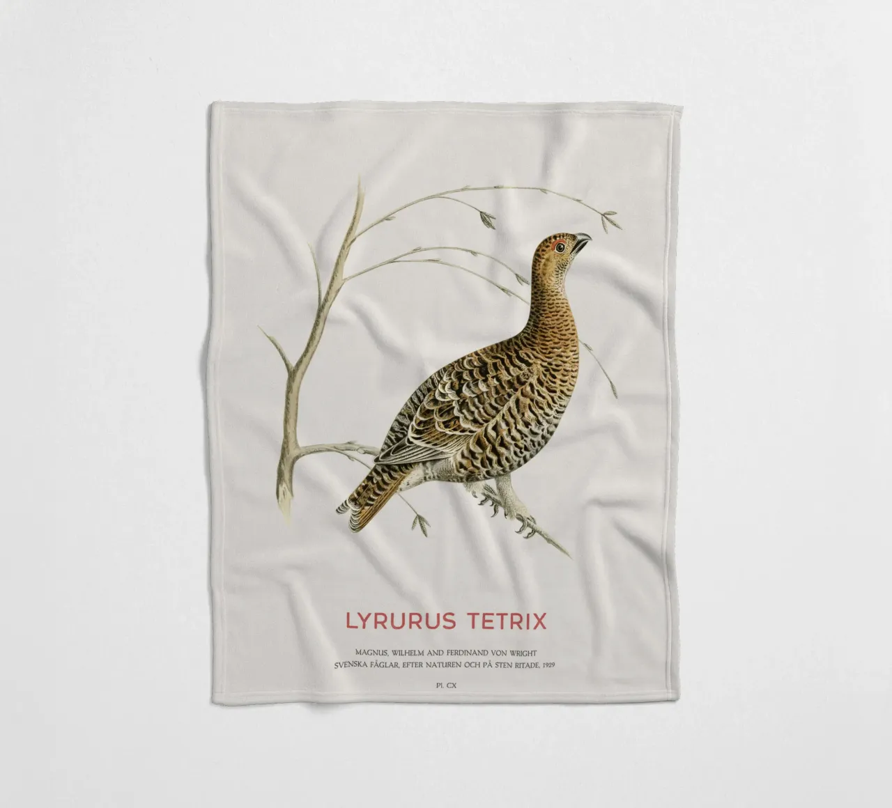 Birkhahn oder Lyrurus tetrix Fleecedecke von Vintagrafica