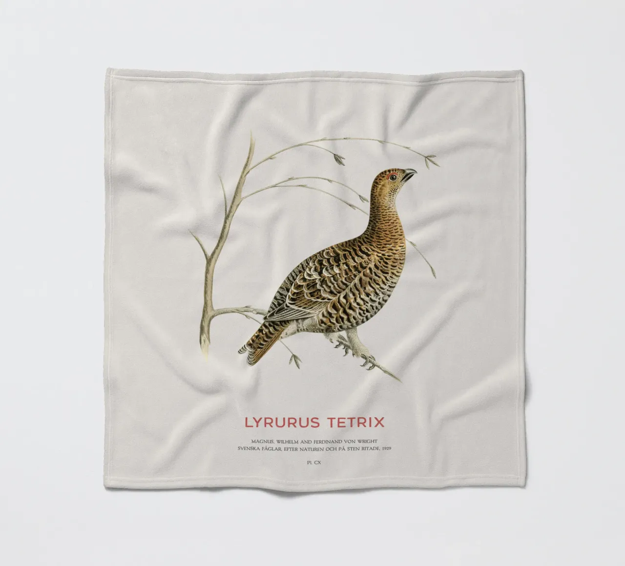 Birkhahn oder Lyrurus tetrix Fleecedecke von Vintagrafica
