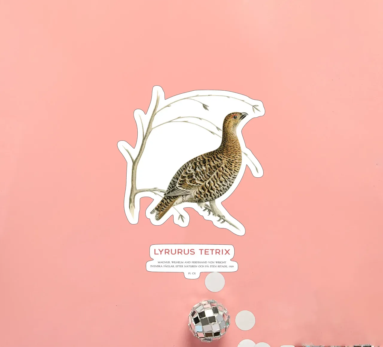 Birkhahn oder Lyrurus tetrix Sticker von Vintagrafica