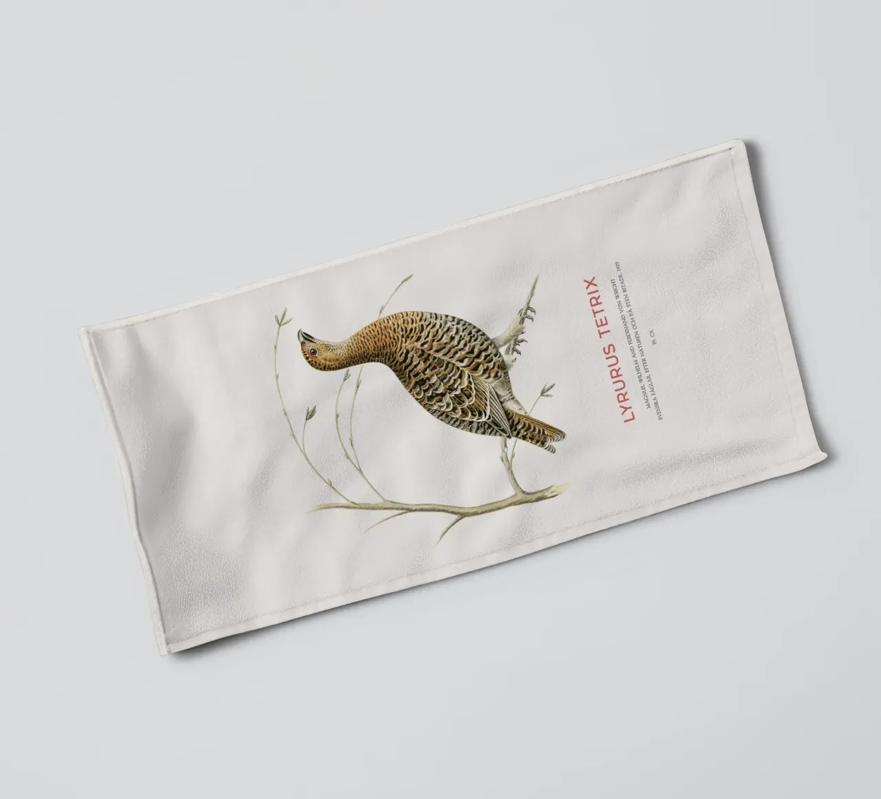 Birkhahn oder Lyrurus tetrix Handtuch von Vintagrafica