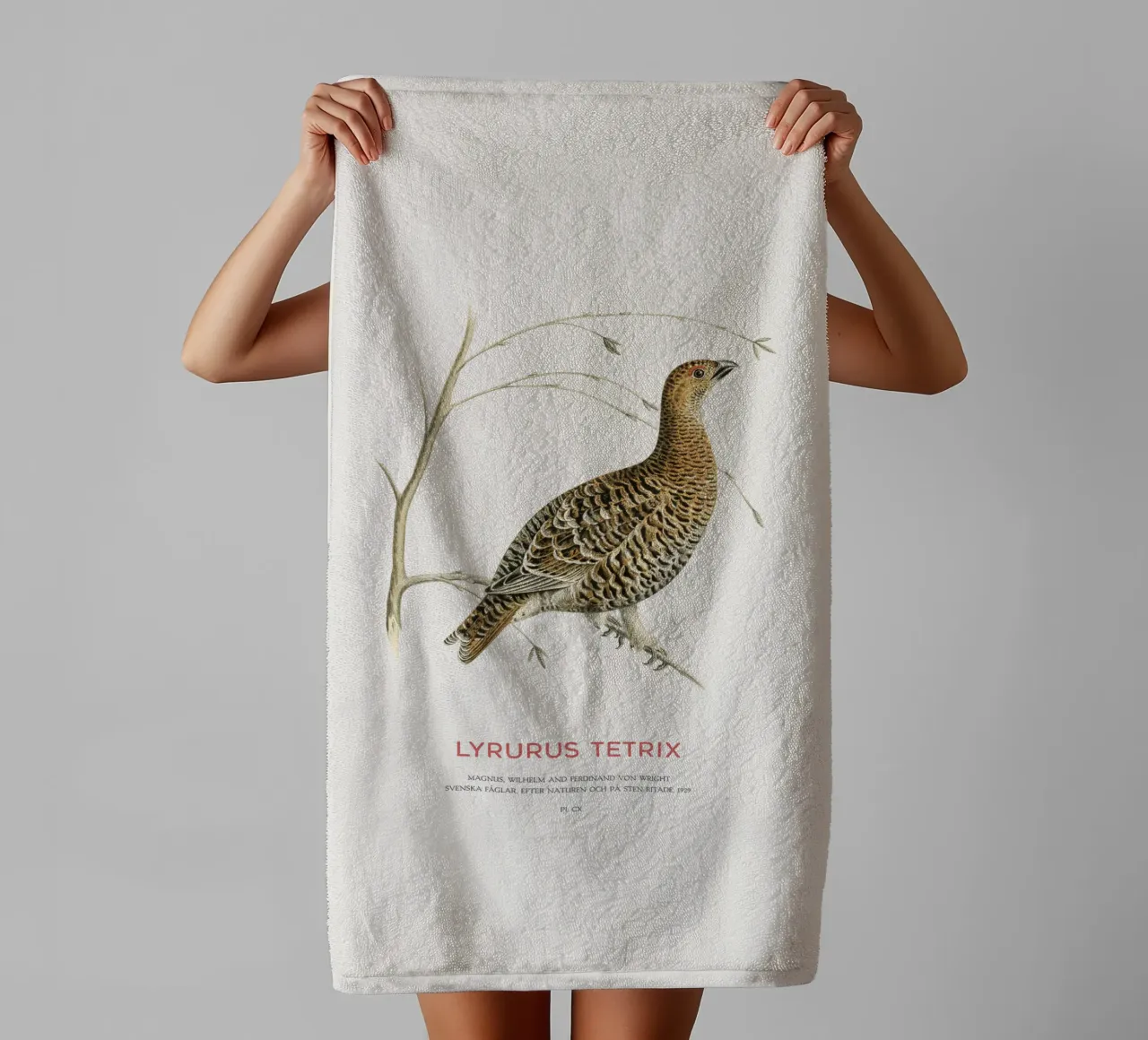 Birkhahn oder Lyrurus tetrix Handtuch von Vintagrafica