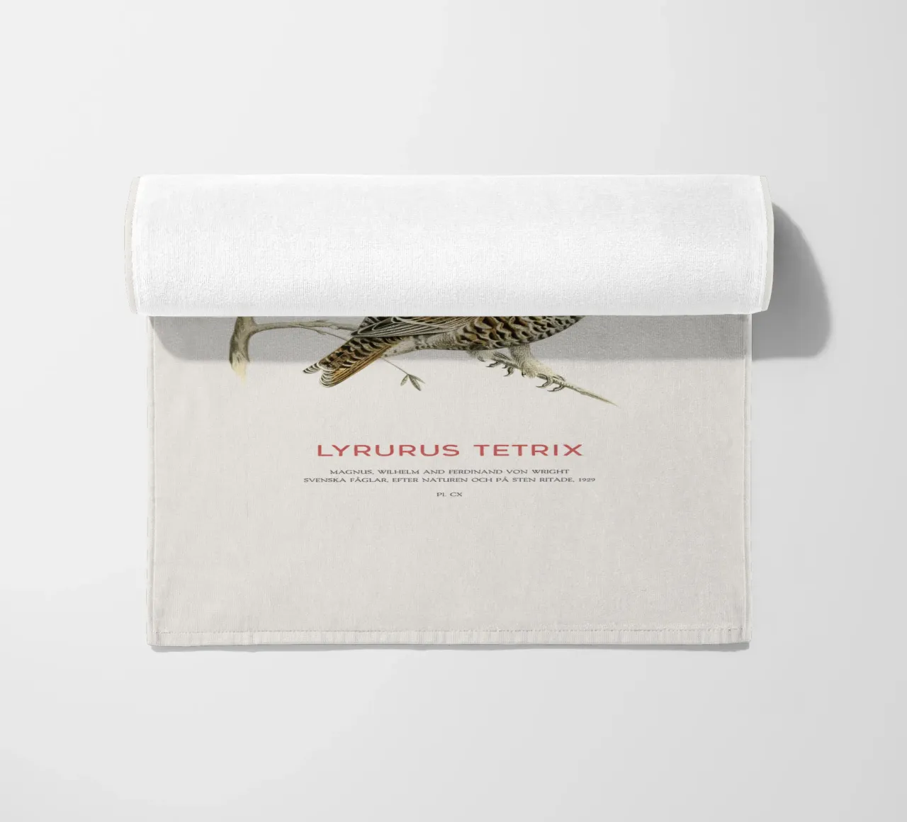 Birkhahn oder Lyrurus tetrix Strandtuch von Vintagrafica