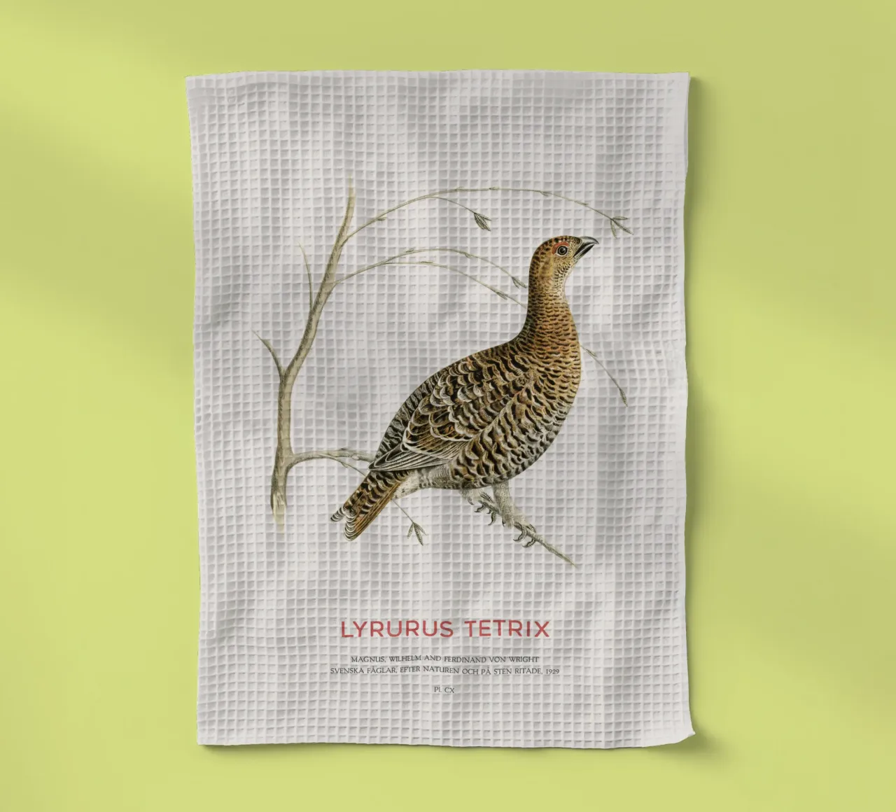 Birkhahn oder Lyrurus tetrix Geschirrtuch von Vintagrafica