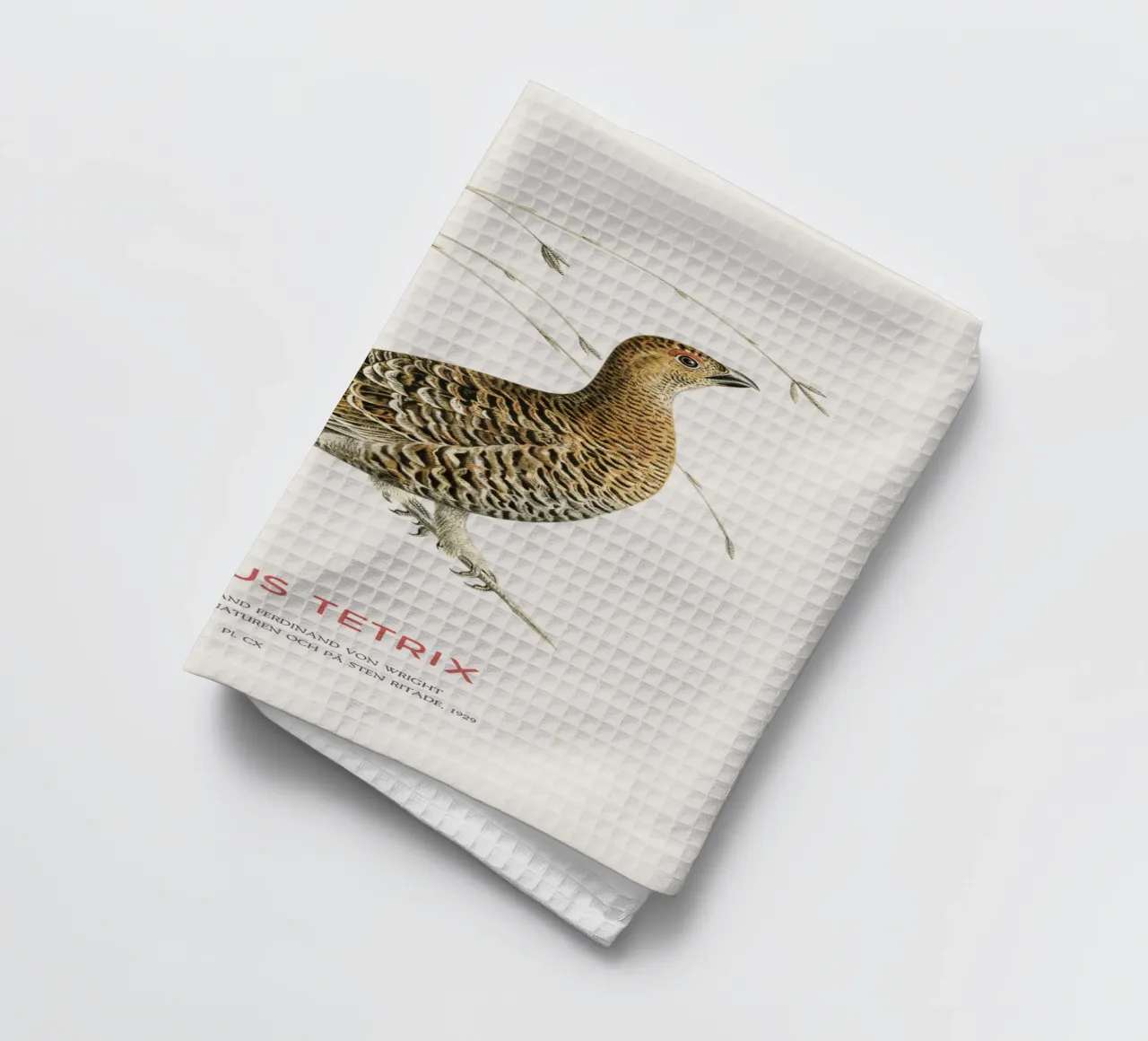 Birkhahn oder Lyrurus tetrix Geschirrtuch von Vintagrafica