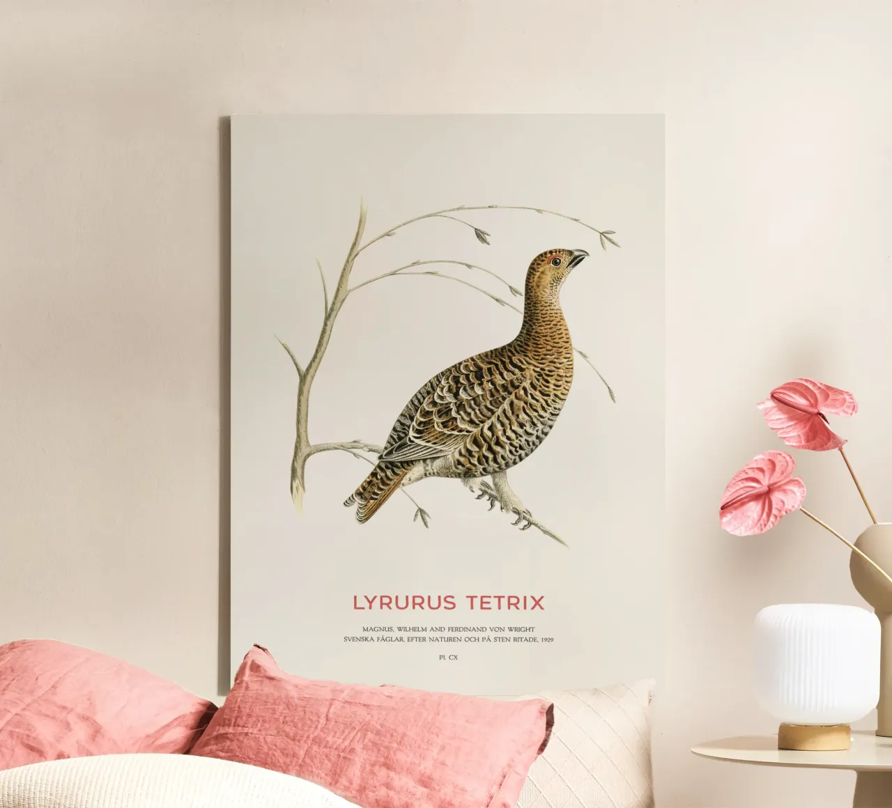 Birkhahn oder Lyrurus tetrix Leinwand von Vintagrafica