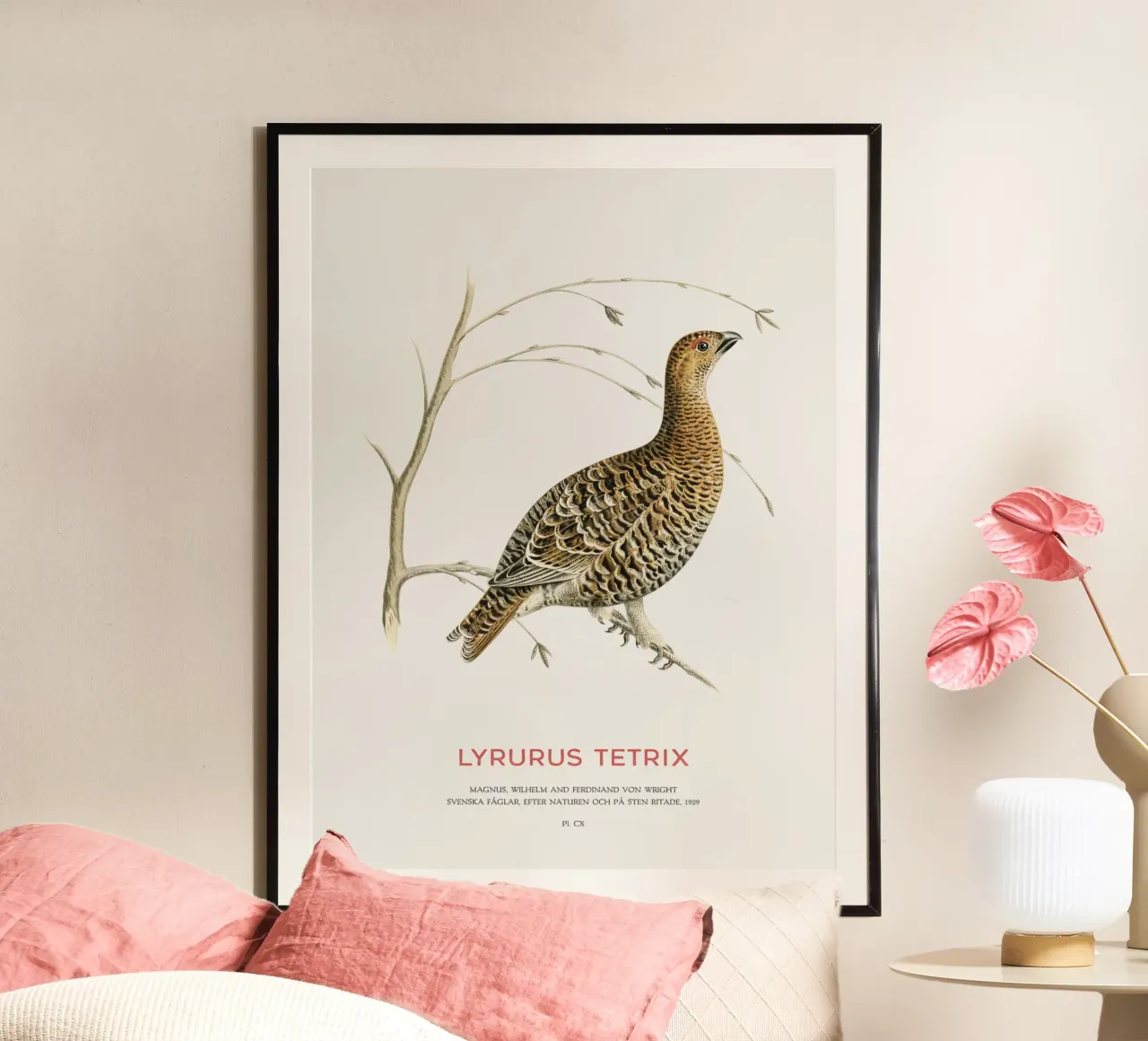 Birkhahn oder Lyrurus tetrix Hahnemühle von Vintagrafica