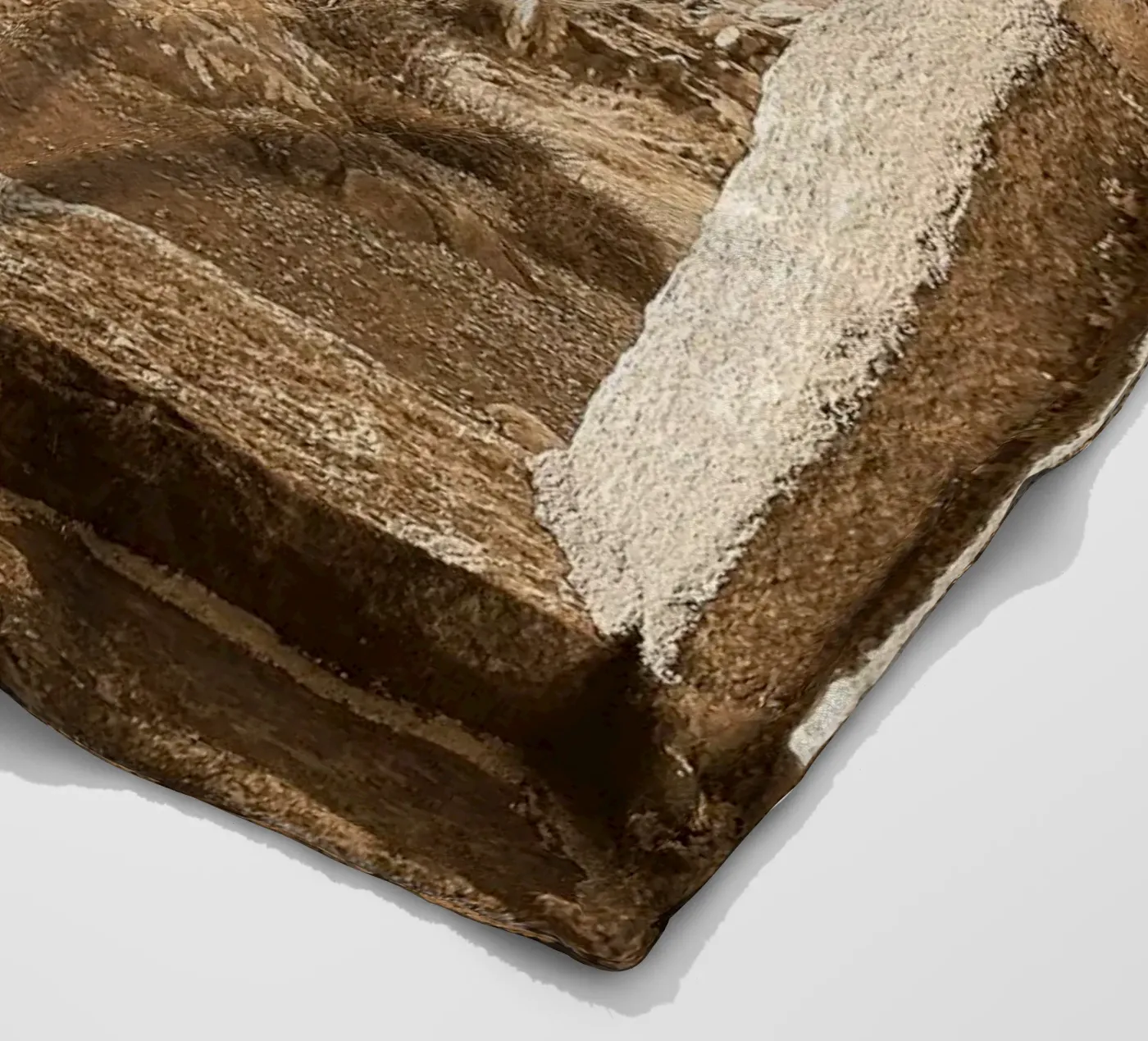 FAA52 Fleecedecke von Thierry vobmann photography