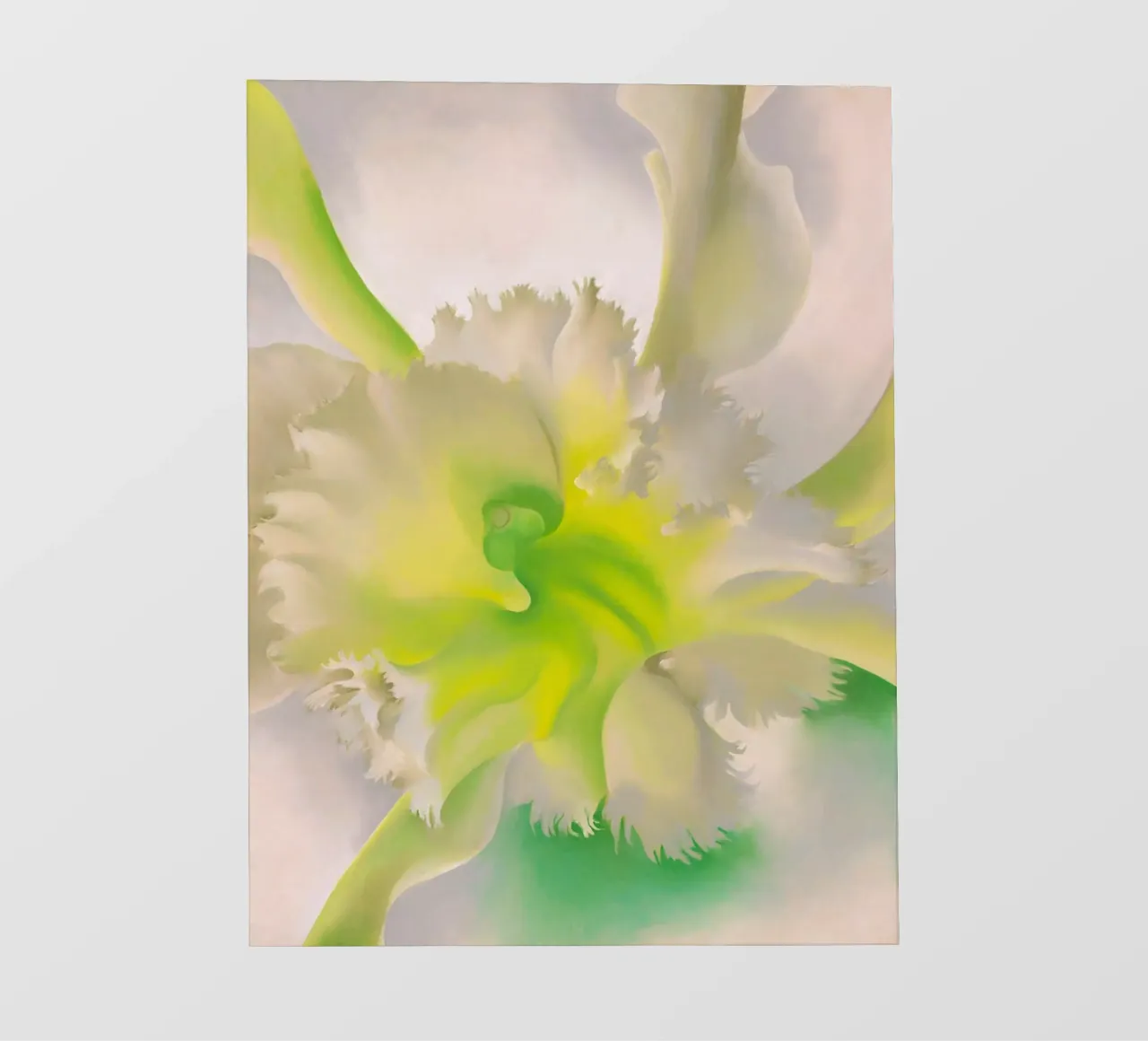 Georgia O'Keeffe - Un'orchidea, 1941 pellicola backlit da Kinsley